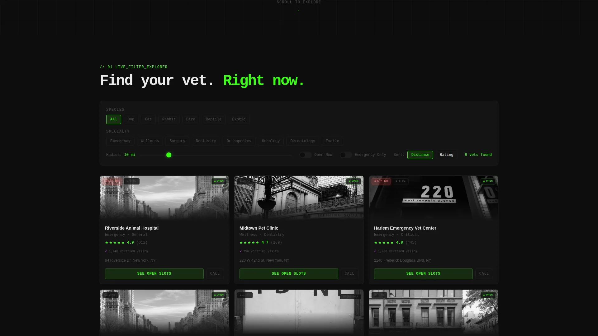 Veterinarian Finder Landing Page Template