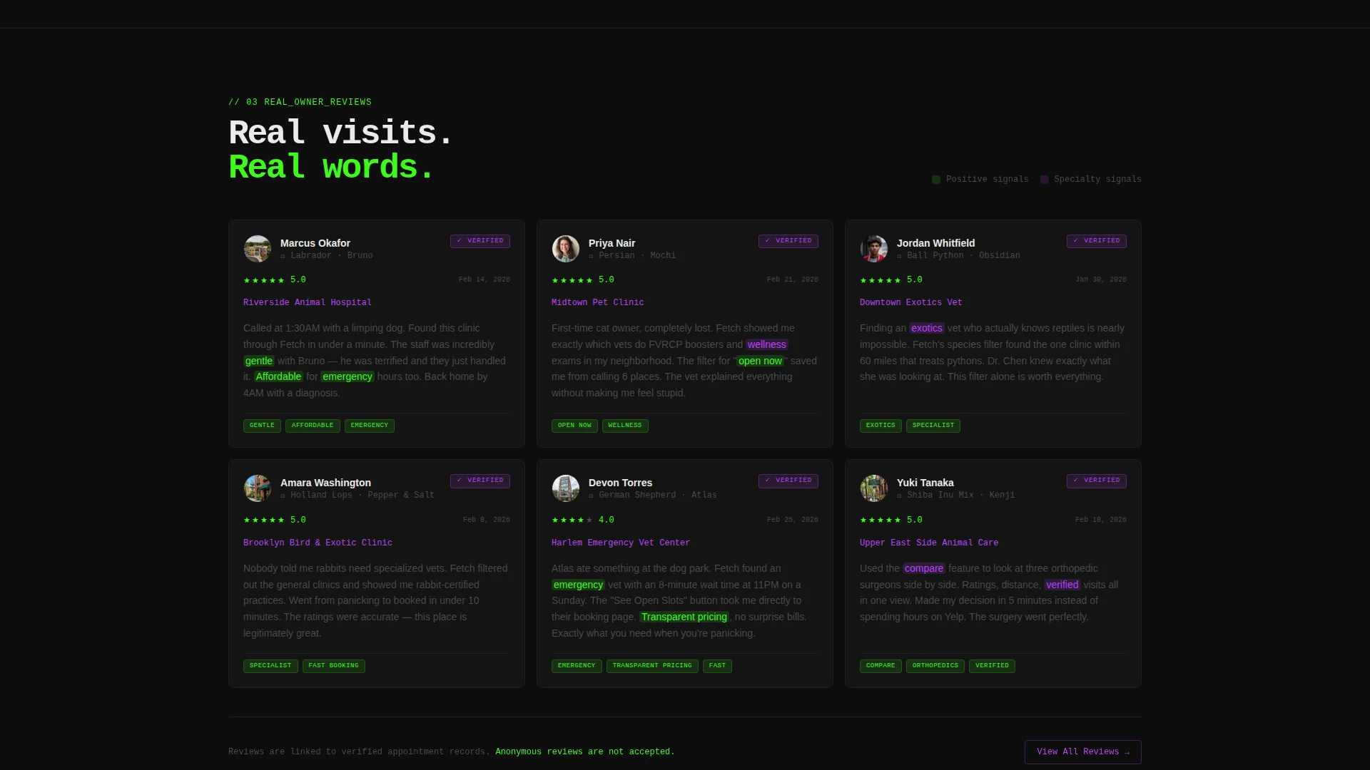 Veterinarian Finder Landing Page Template