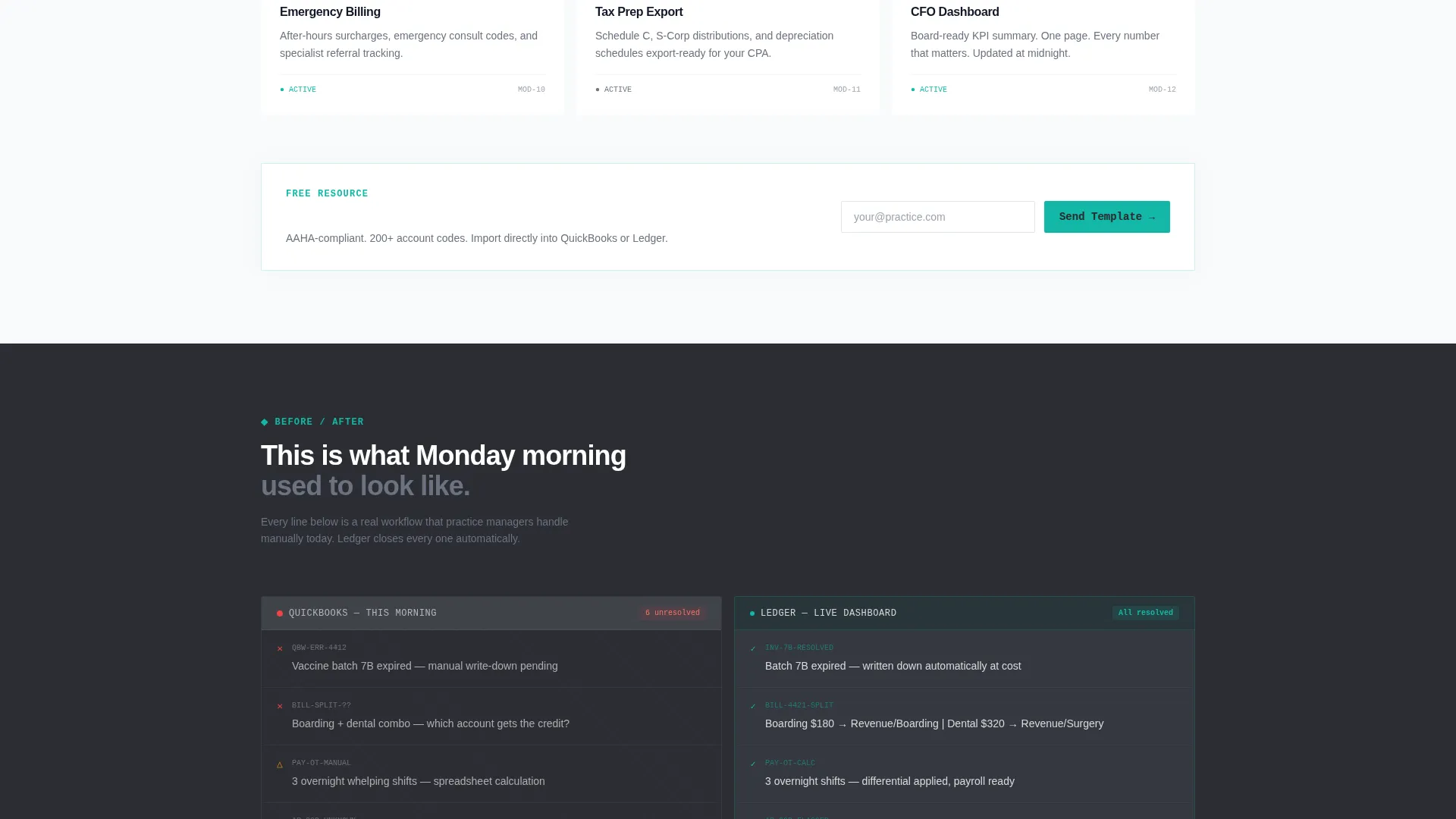 Veterinary Accounting Software Landing Page Template