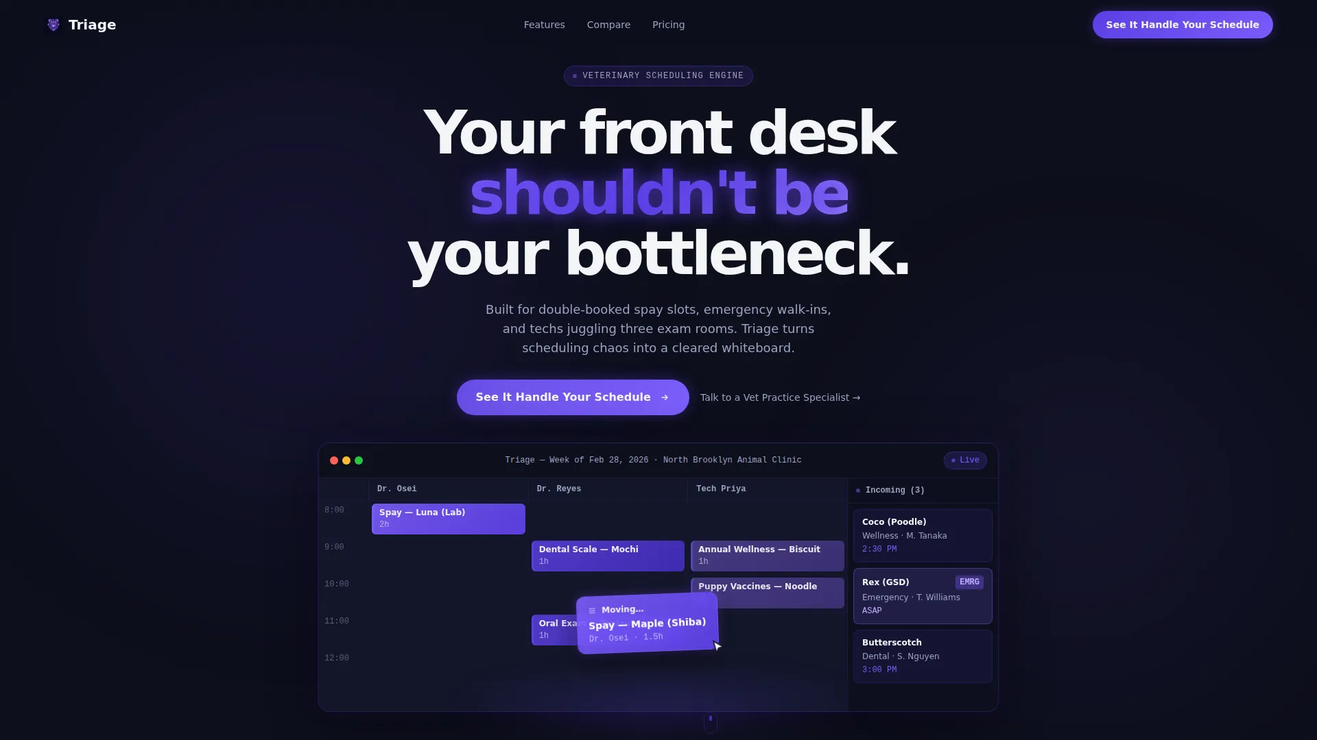 Advanced Management Landing Page Template