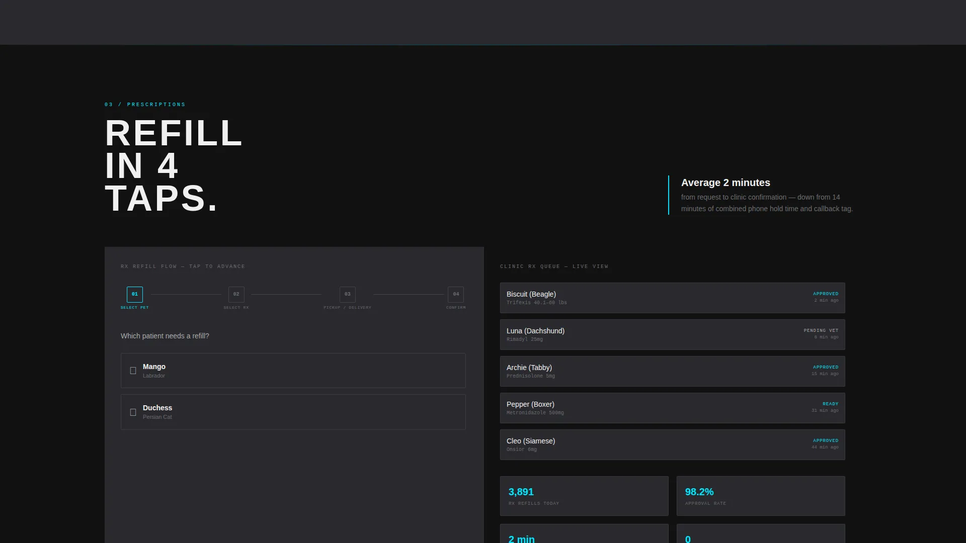 Veterinary Customer Portal Landing Page Template