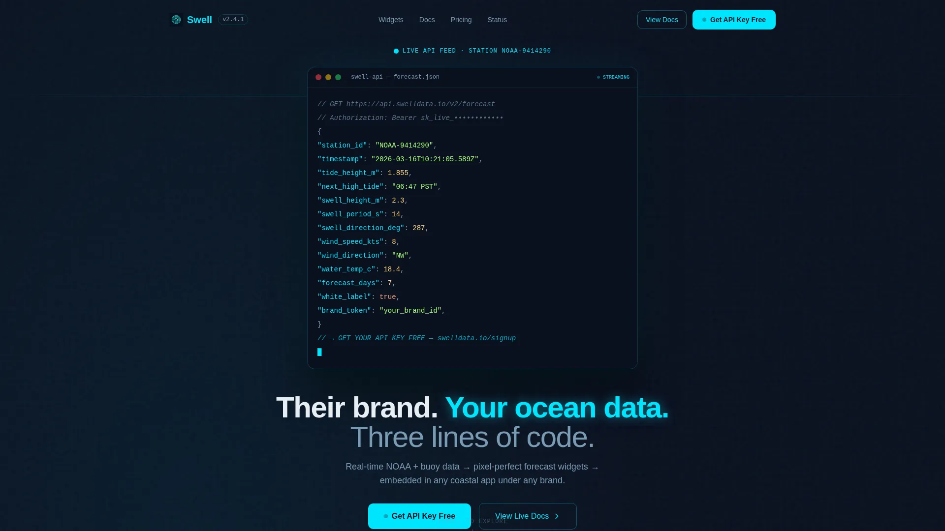 White-Label Tide & Surf Forecast Landing Page Template