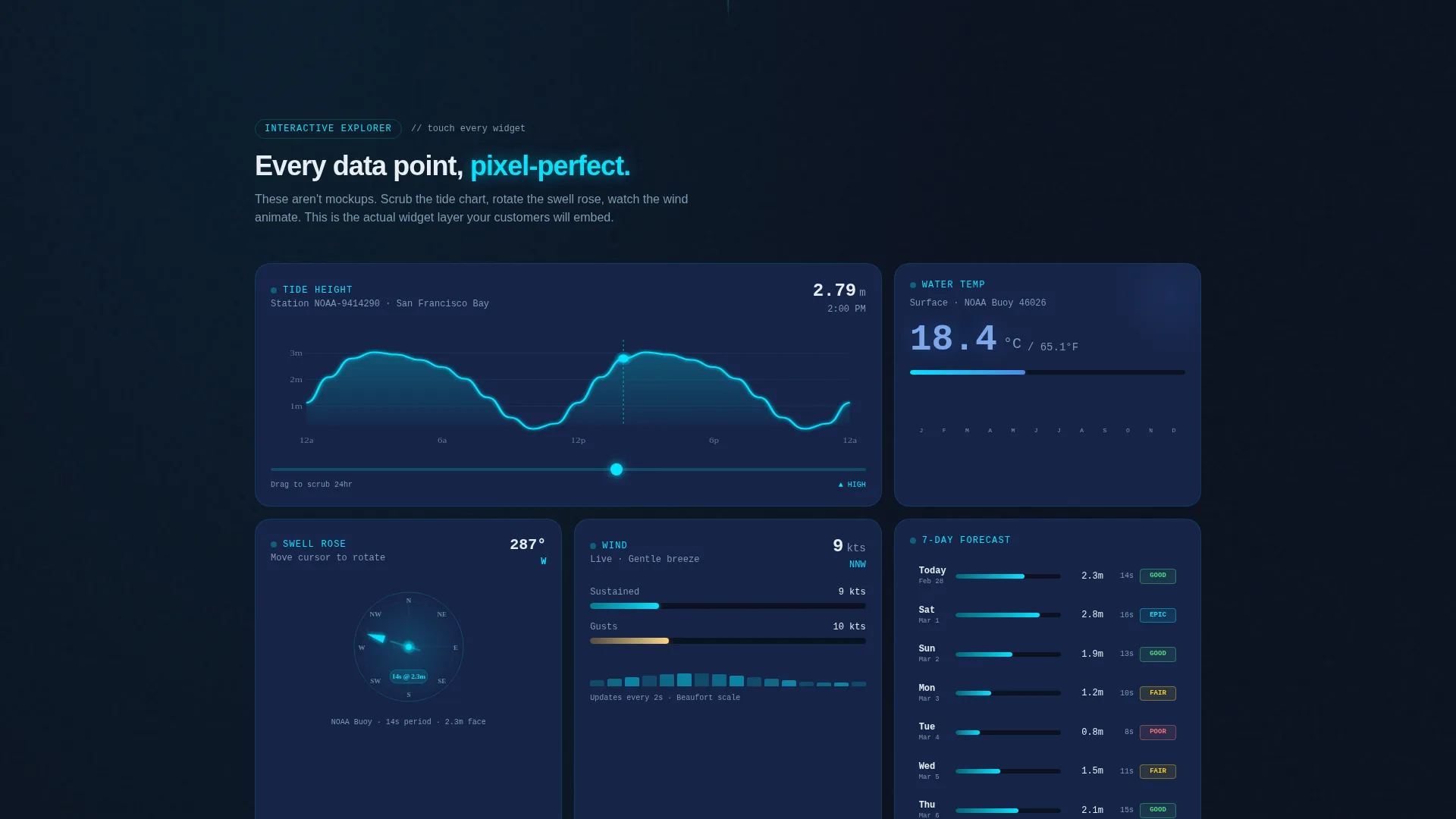 White-Label Tide & Surf Forecast Landing Page Template