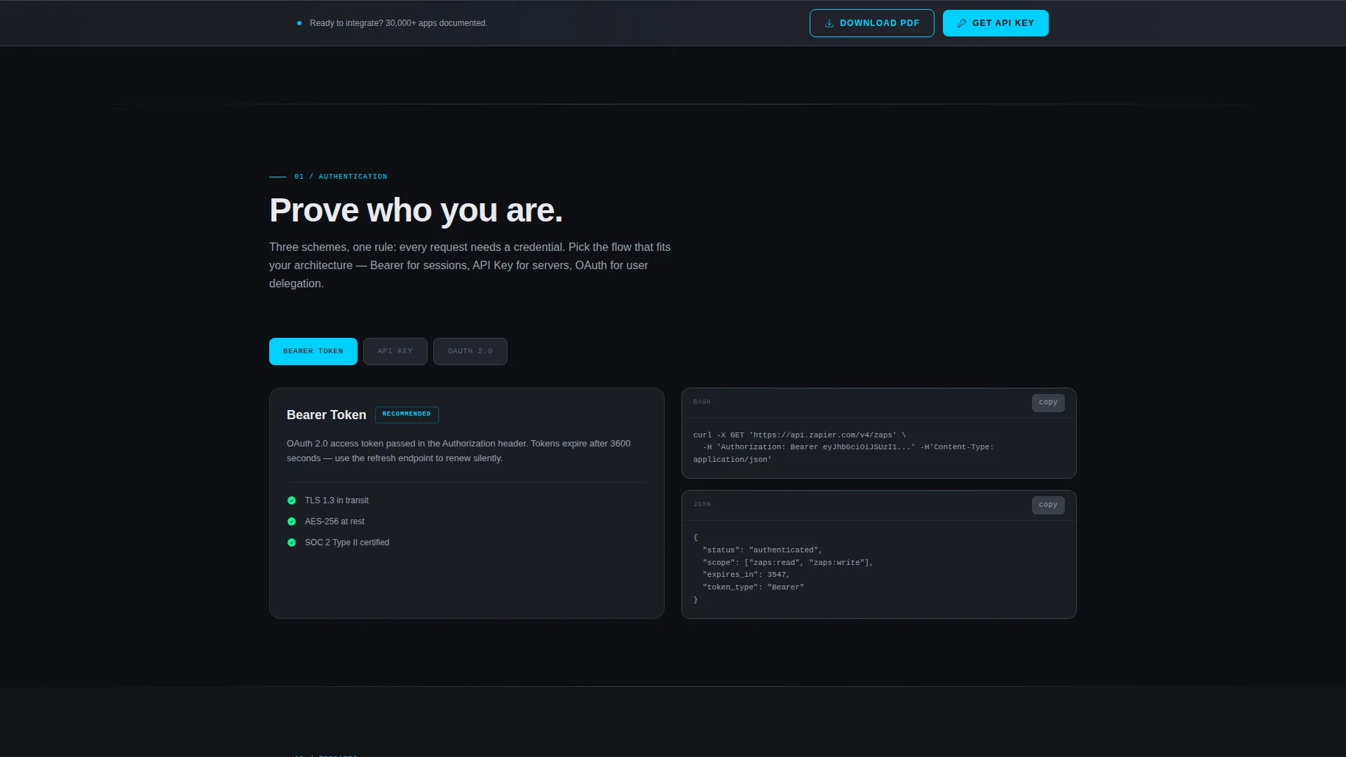 API Docs | Free Website Template | Rocket
