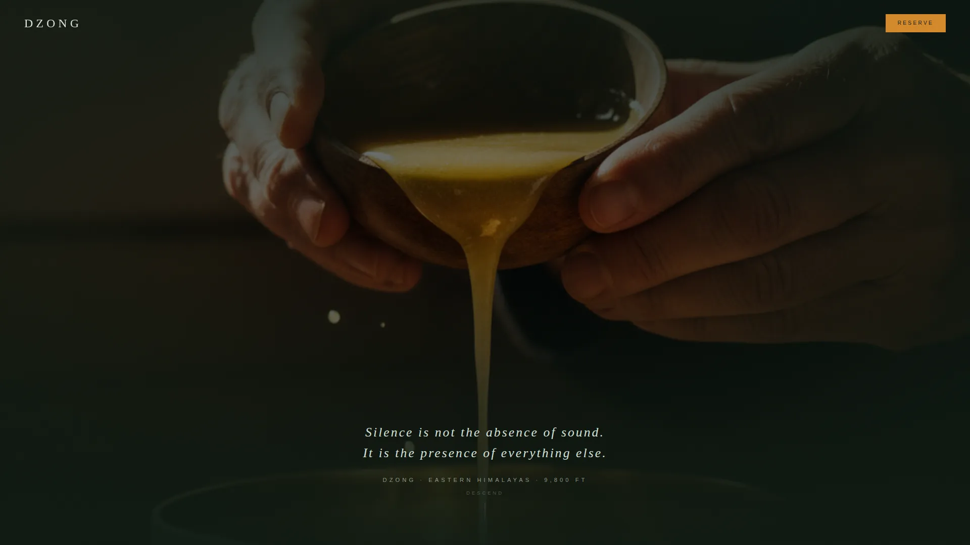 Dark Immersive Bhutan Wellness Retreat Landing Page