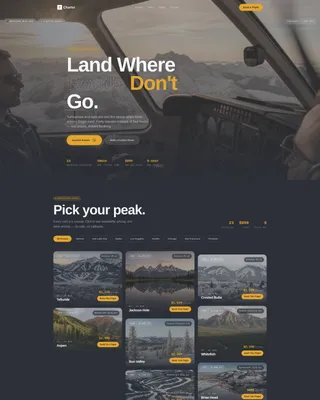 Charter Flight Landing Page Template | Neo-Retro