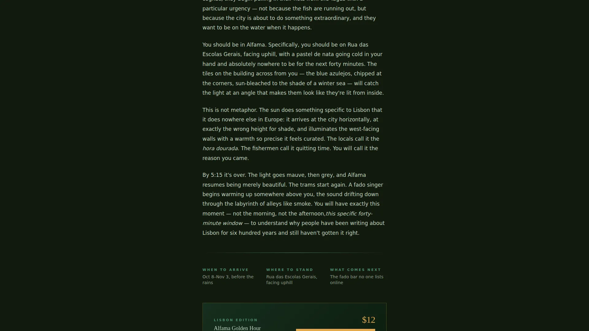 Immersive Destination Guide Landing Page Template