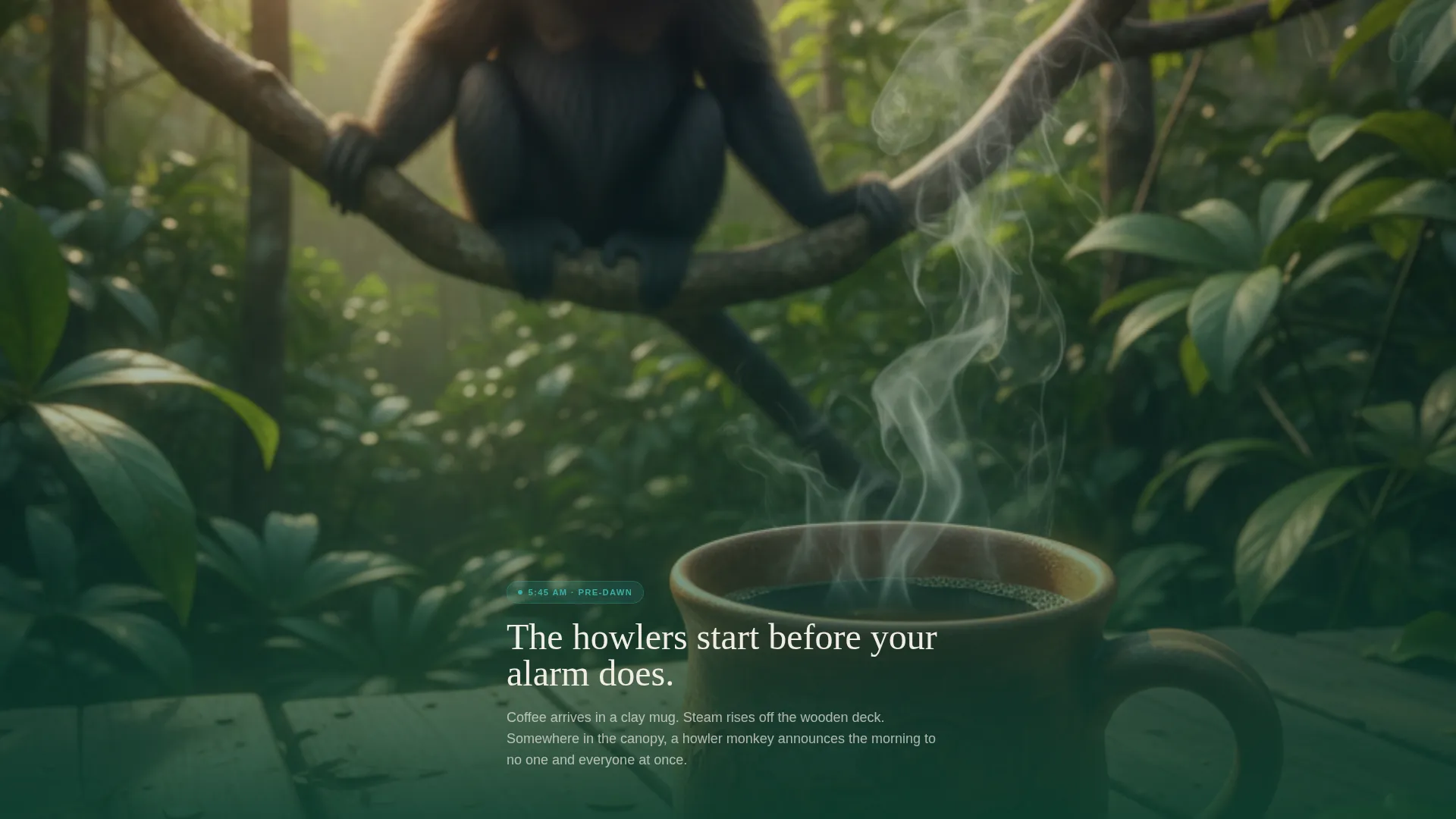 Adventure Experience Landing Page Template