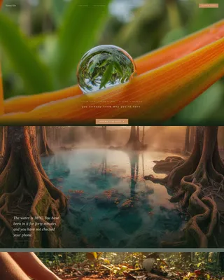 Costa Rica Wellness Retreat Landing Page Template