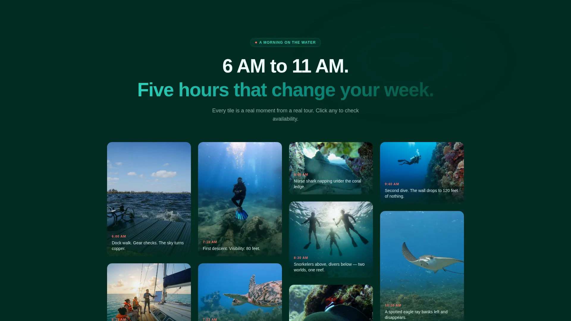 Caribbean Diving & Snorkelling Tour Operator Website Template