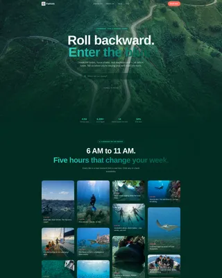Caribbean Diving & Snorkelling Tour Operator Website Template
