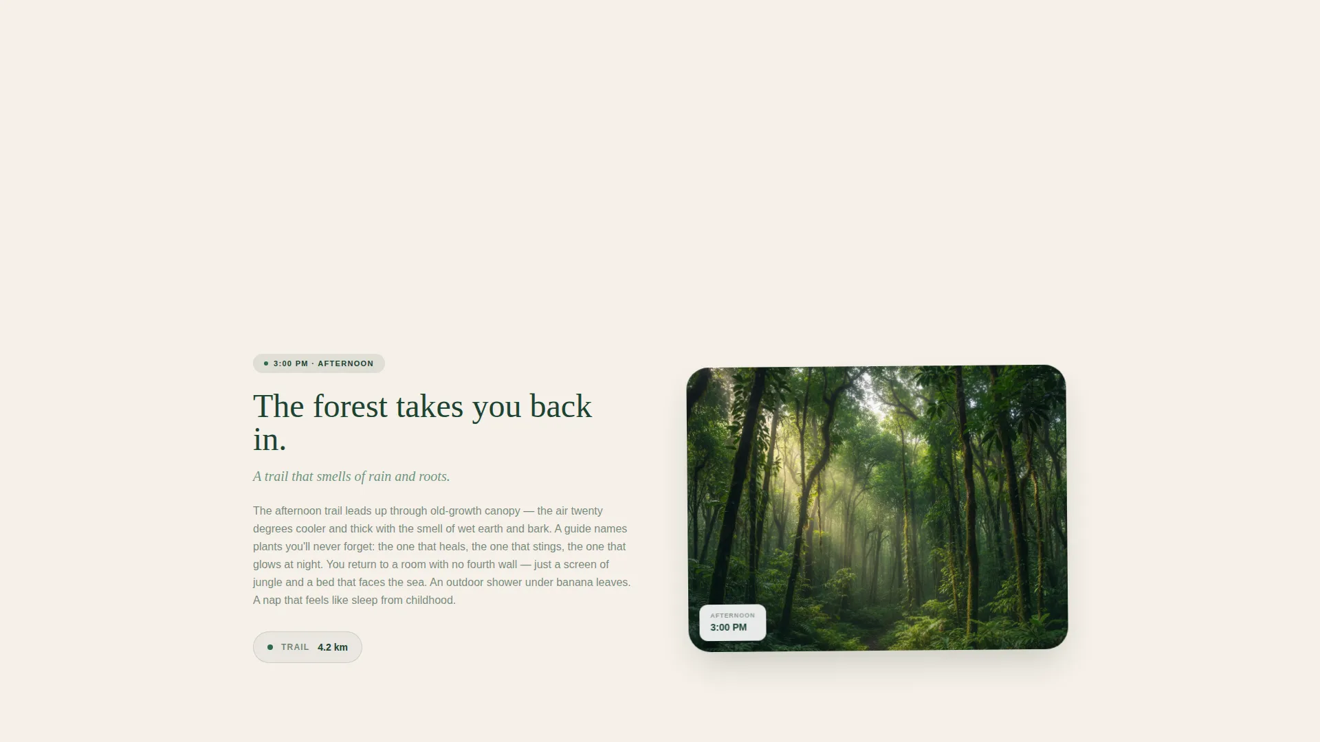 Eco Lodge Landing Page Template, Immersive Booking
