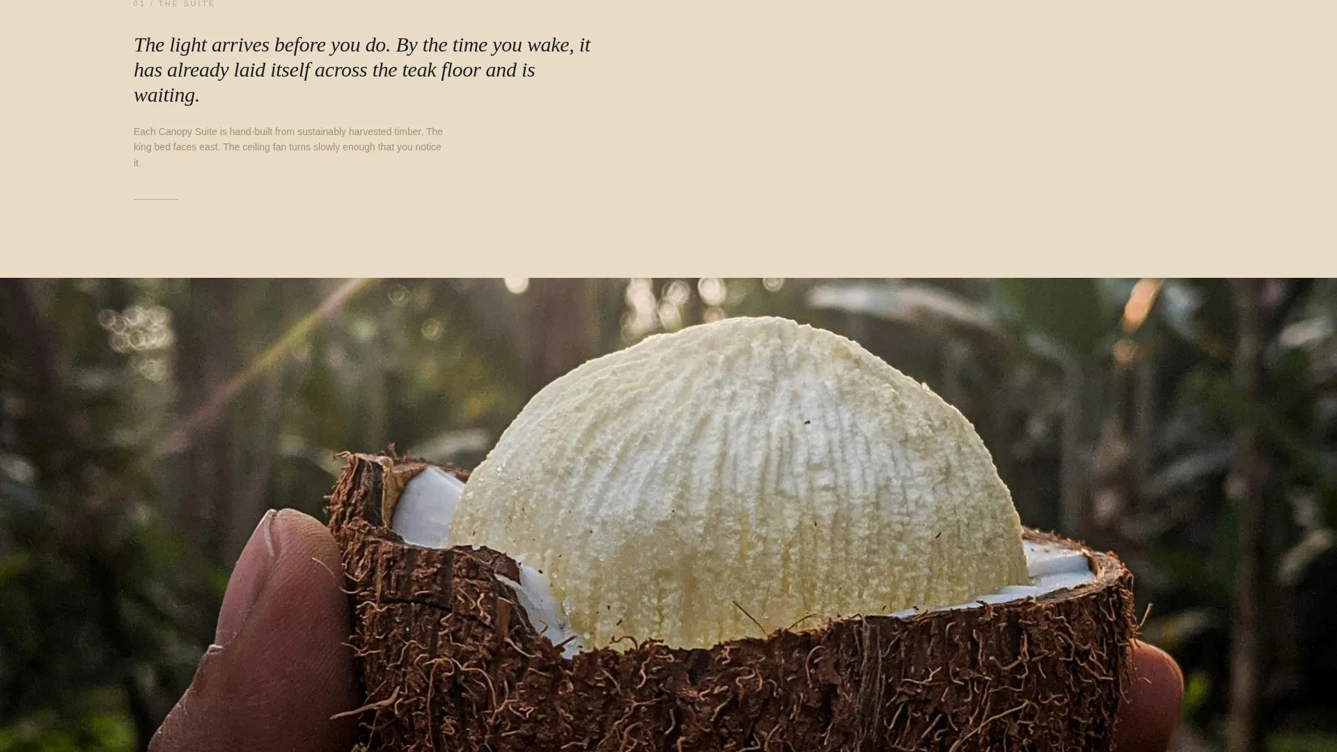 Eco Lodge & Nature Resort Gallery Walk Website Template