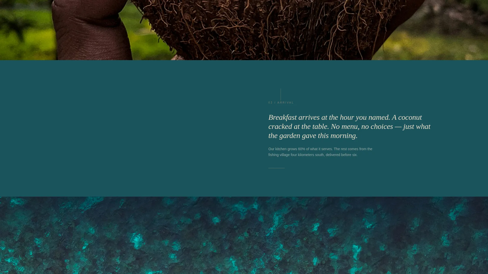 Eco Lodge & Nature Resort Gallery Walk Website Template