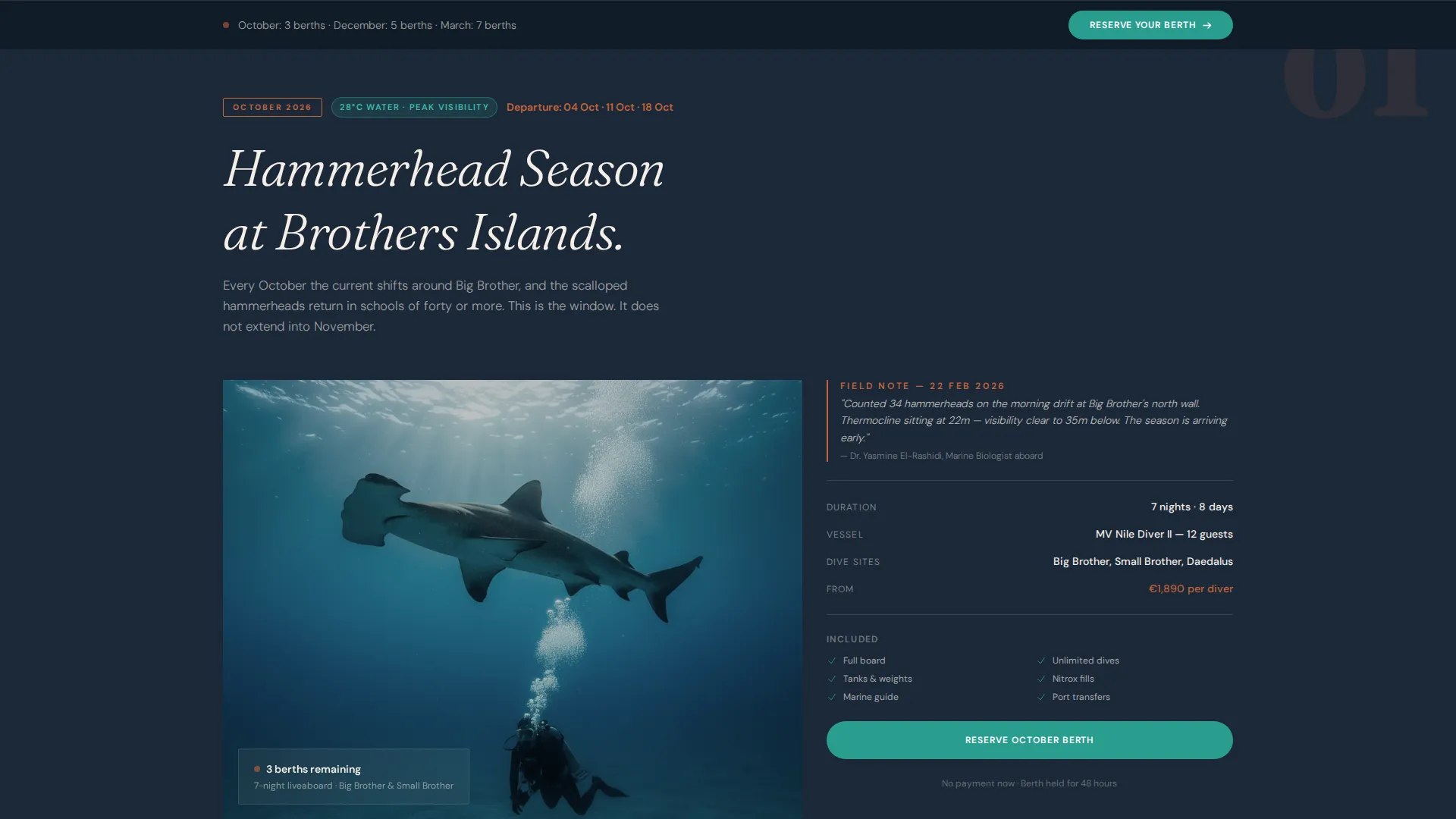 Immersive Egypt Tour Operator Landing Page Template