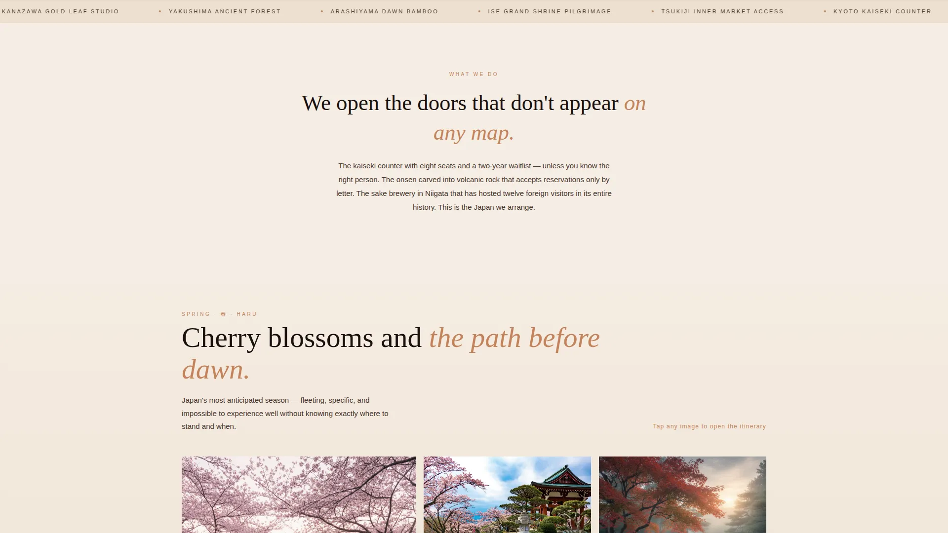 Japan Travel Specialist Booking Website Template
