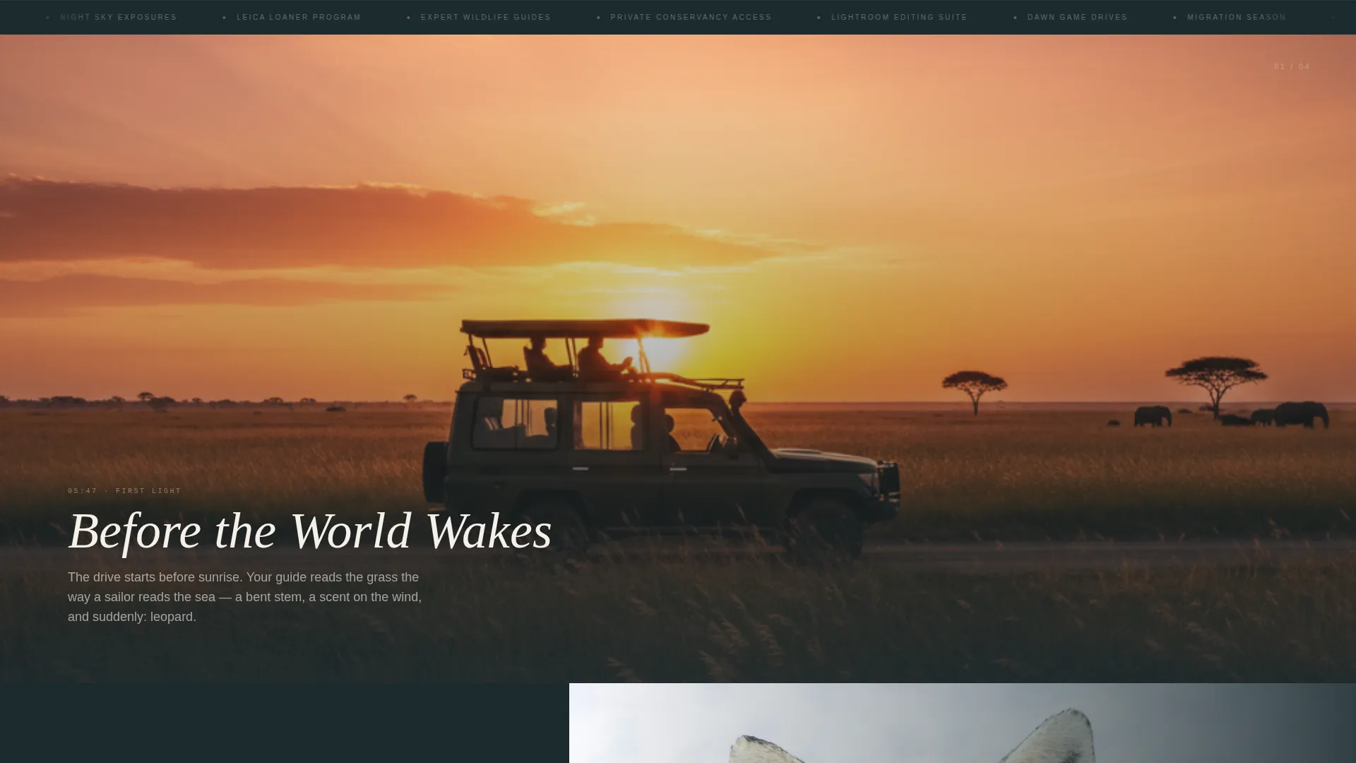 Kenya Photography Tour Landing Page Template