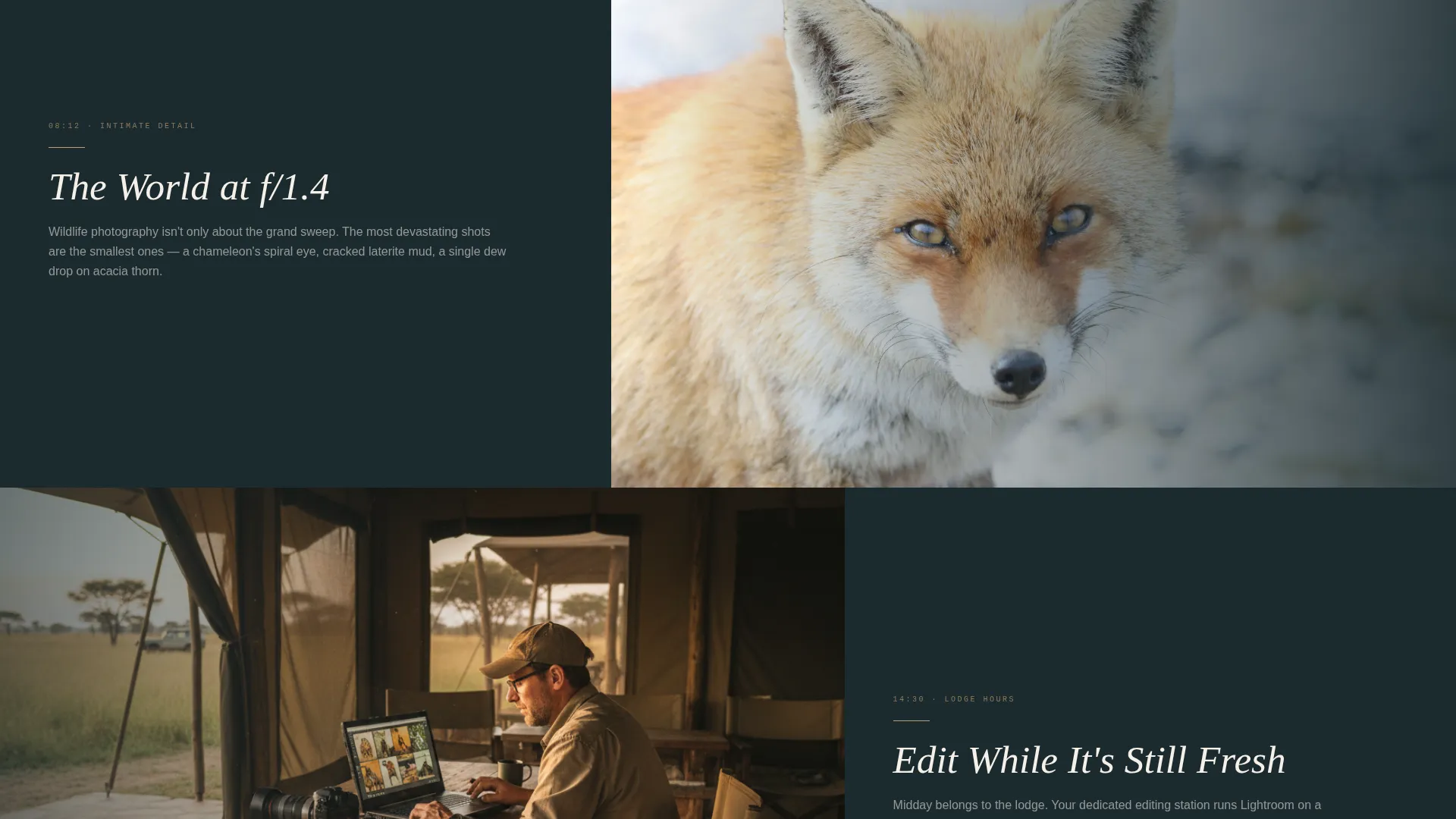 Kenya Photography Tour Landing Page Template