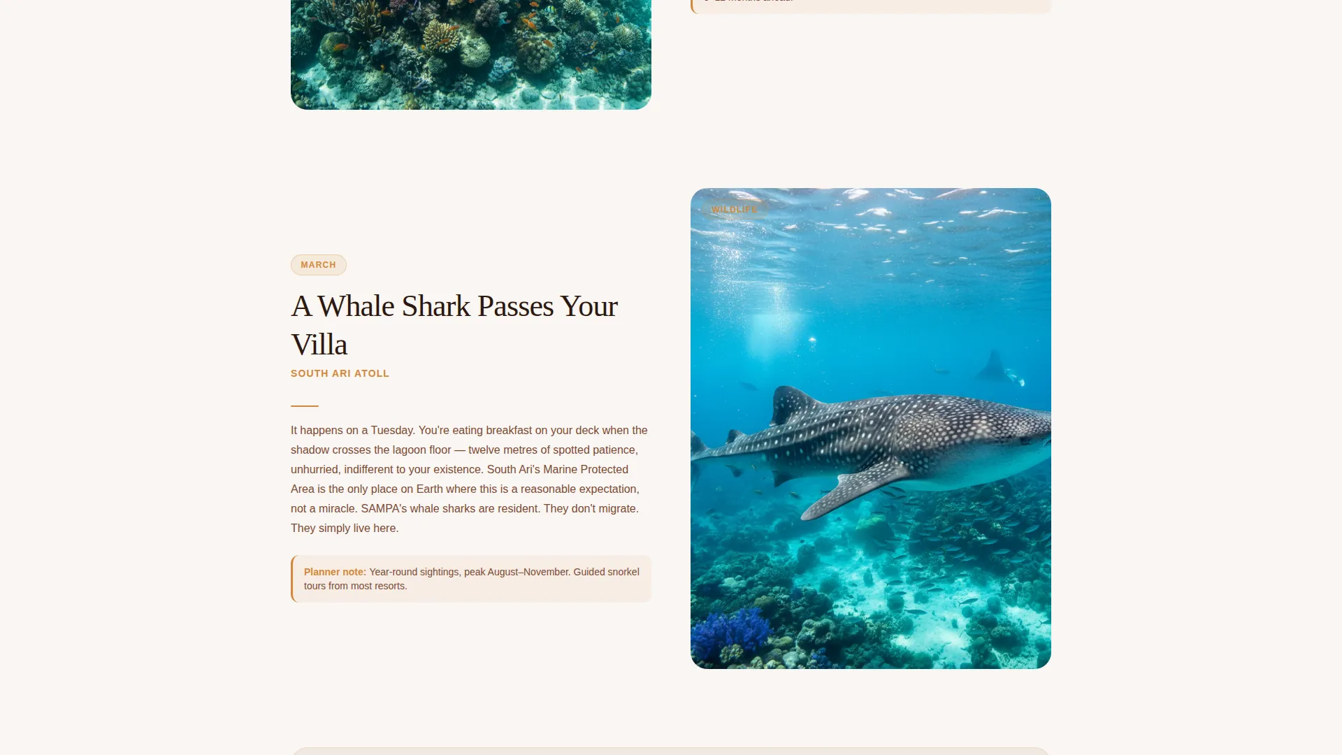 Maldives Travel Guide Landing Page Template