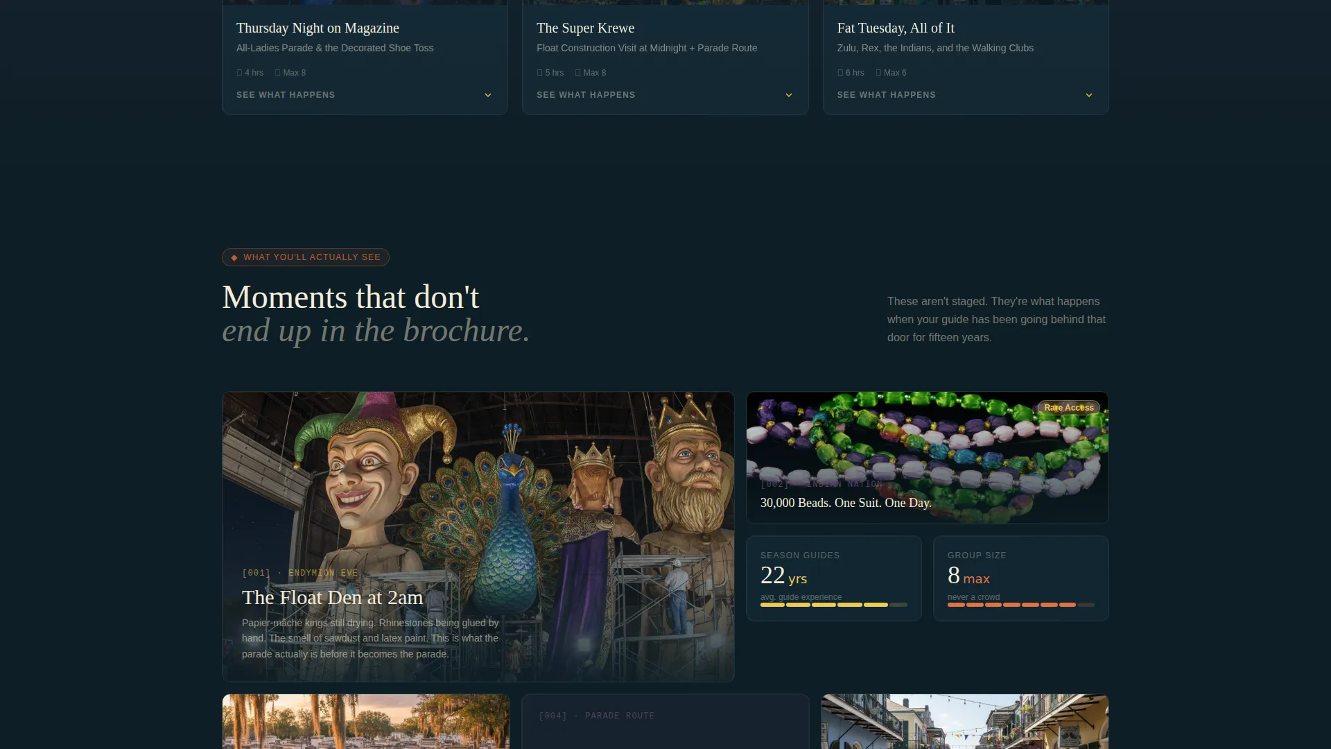 Mardi Gras Tour Landing Page Template