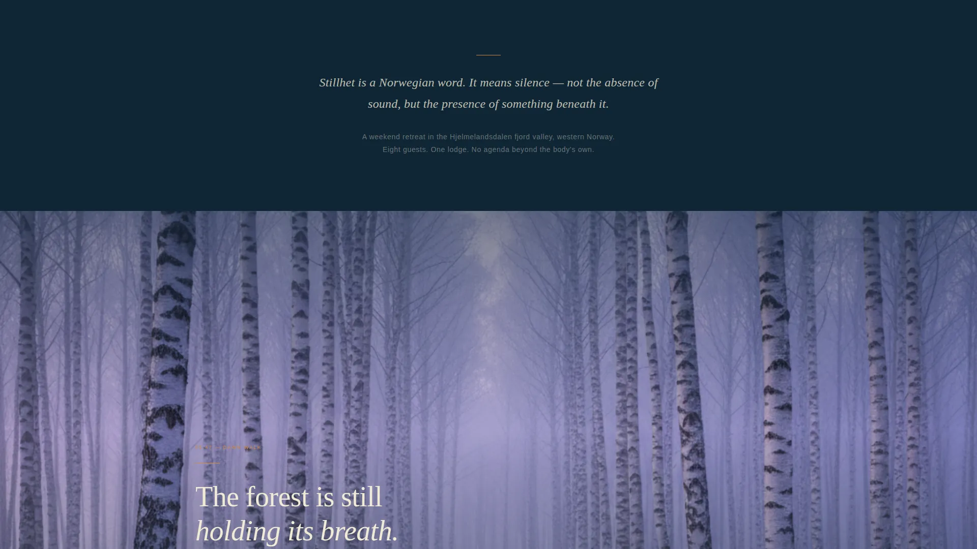 Norway Wellness Retreat Landing Page Template