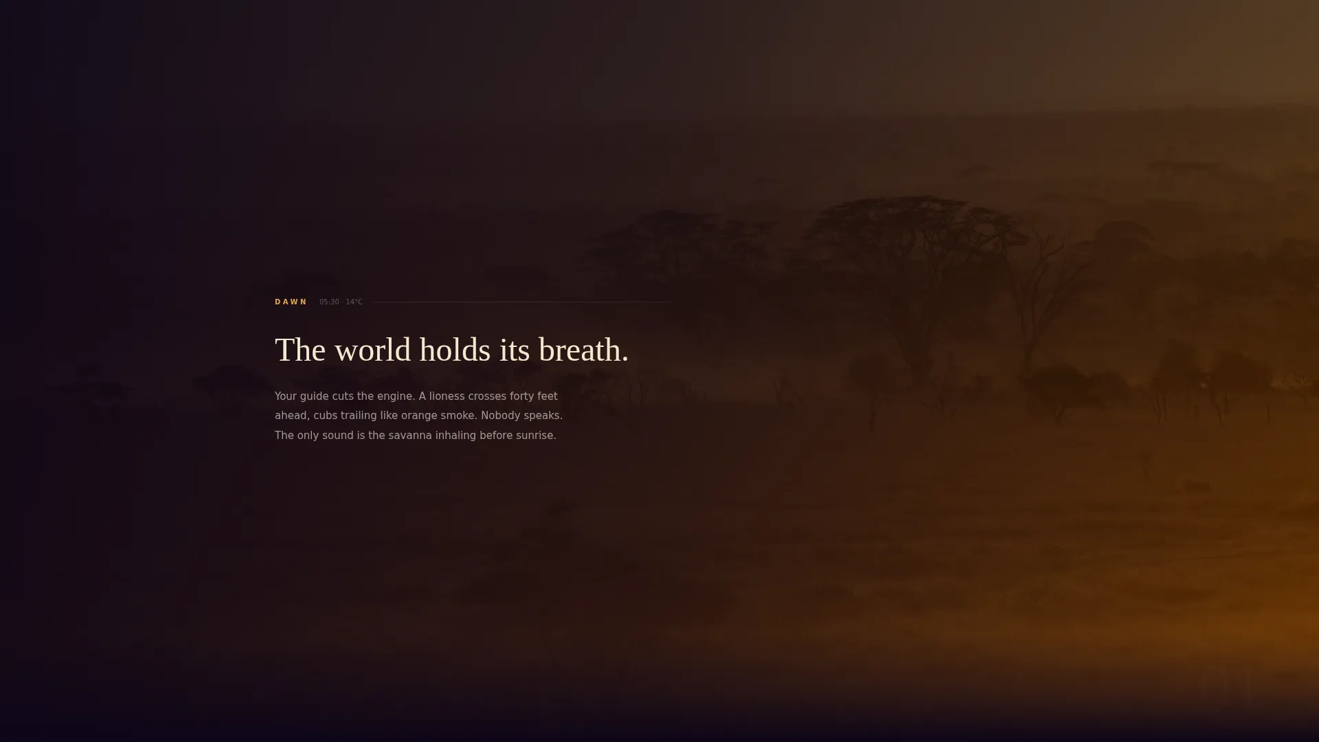 Wildlife & Nature Safari Tour Operator Website Template