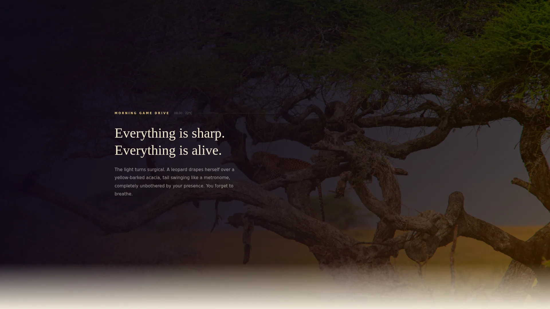 Wildlife & Nature Safari Tour Operator Website Template