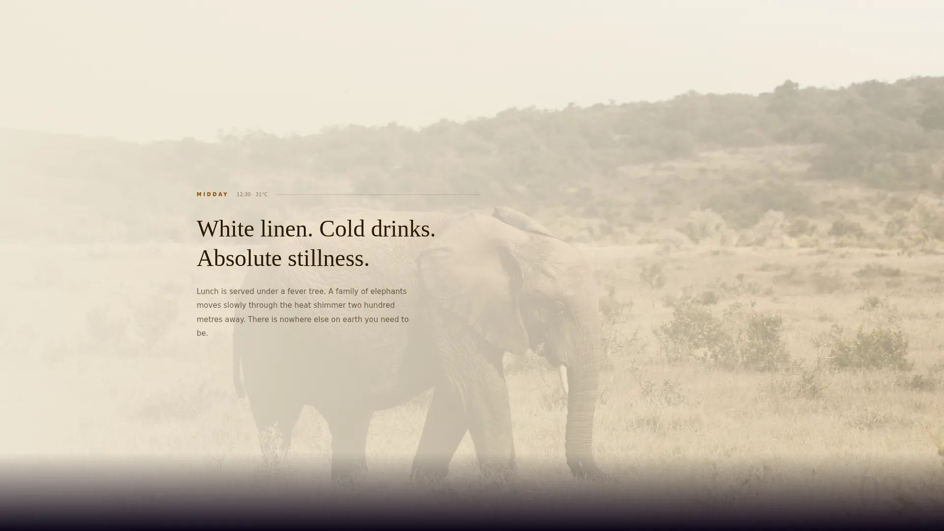 Wildlife & Nature Safari Tour Operator Website Template