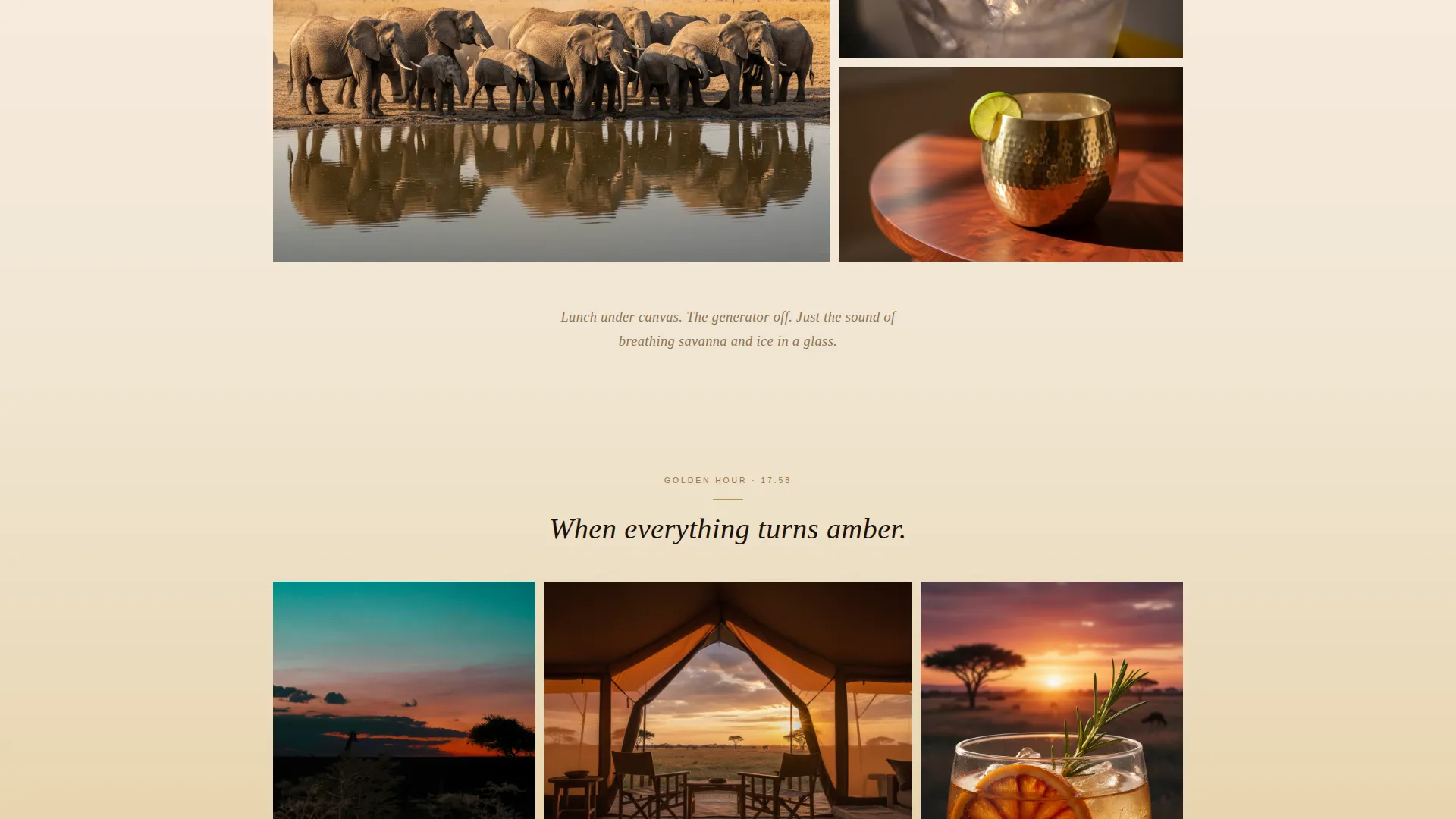 Campground & Glamping Specialist Booking Website Template