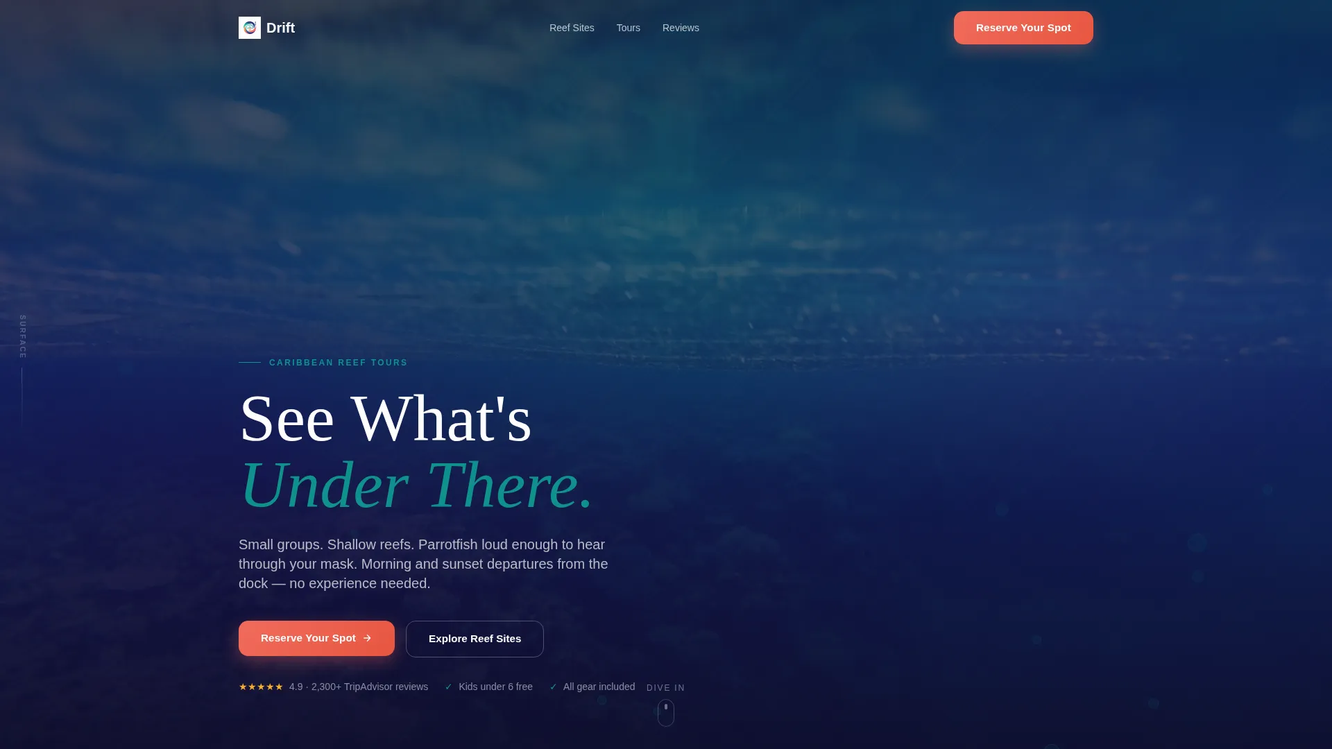 Small-Group Snorkelling & Reef Tour Operator Website Template