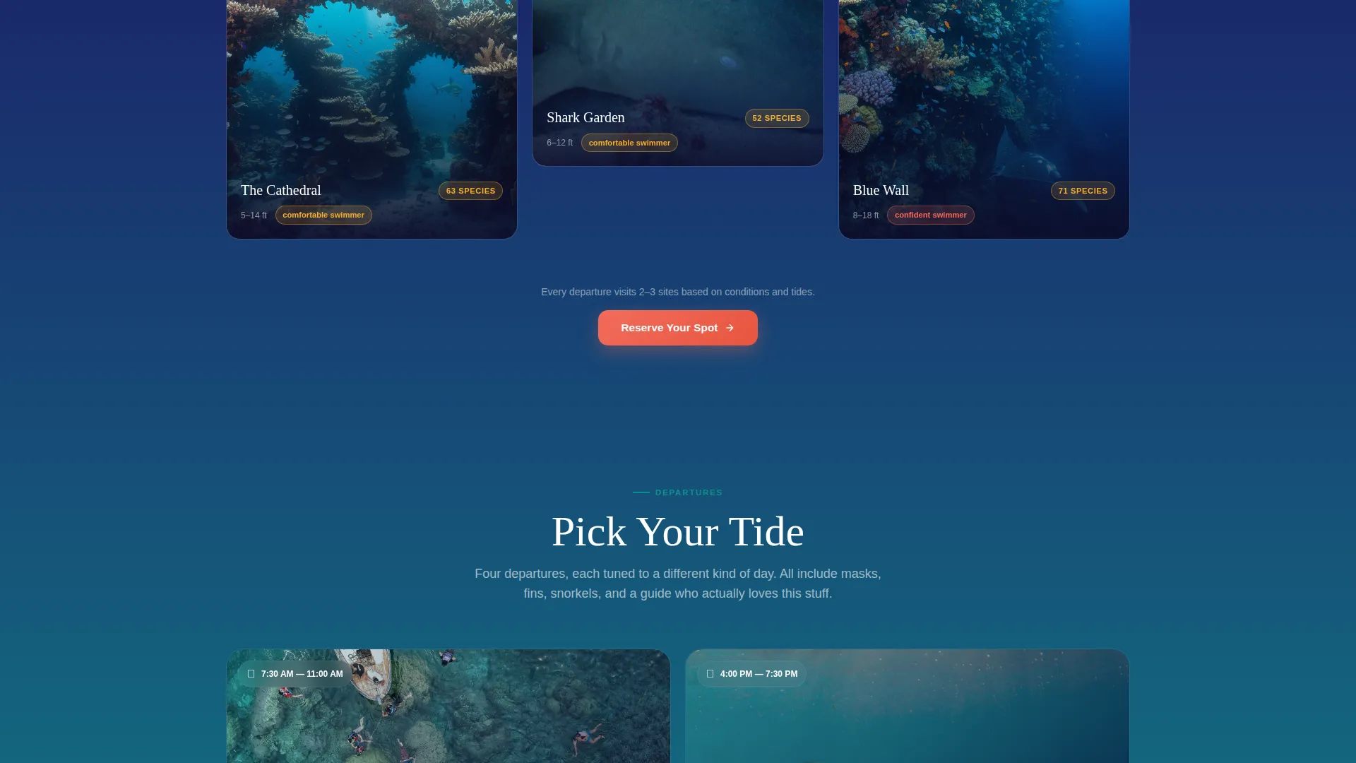 Small-Group Snorkelling & Reef Tour Operator Website Template