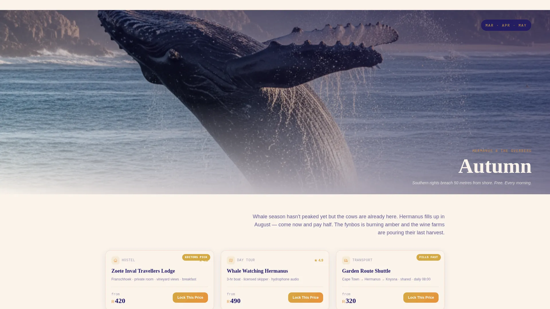 South Africa Travel Advanced Booking Website Template