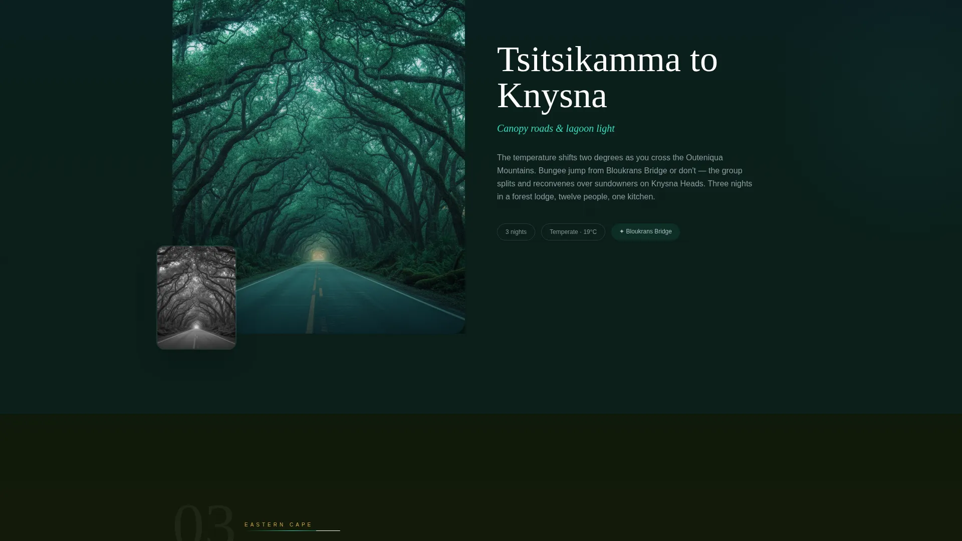 South Africa Travel Booking Website Template