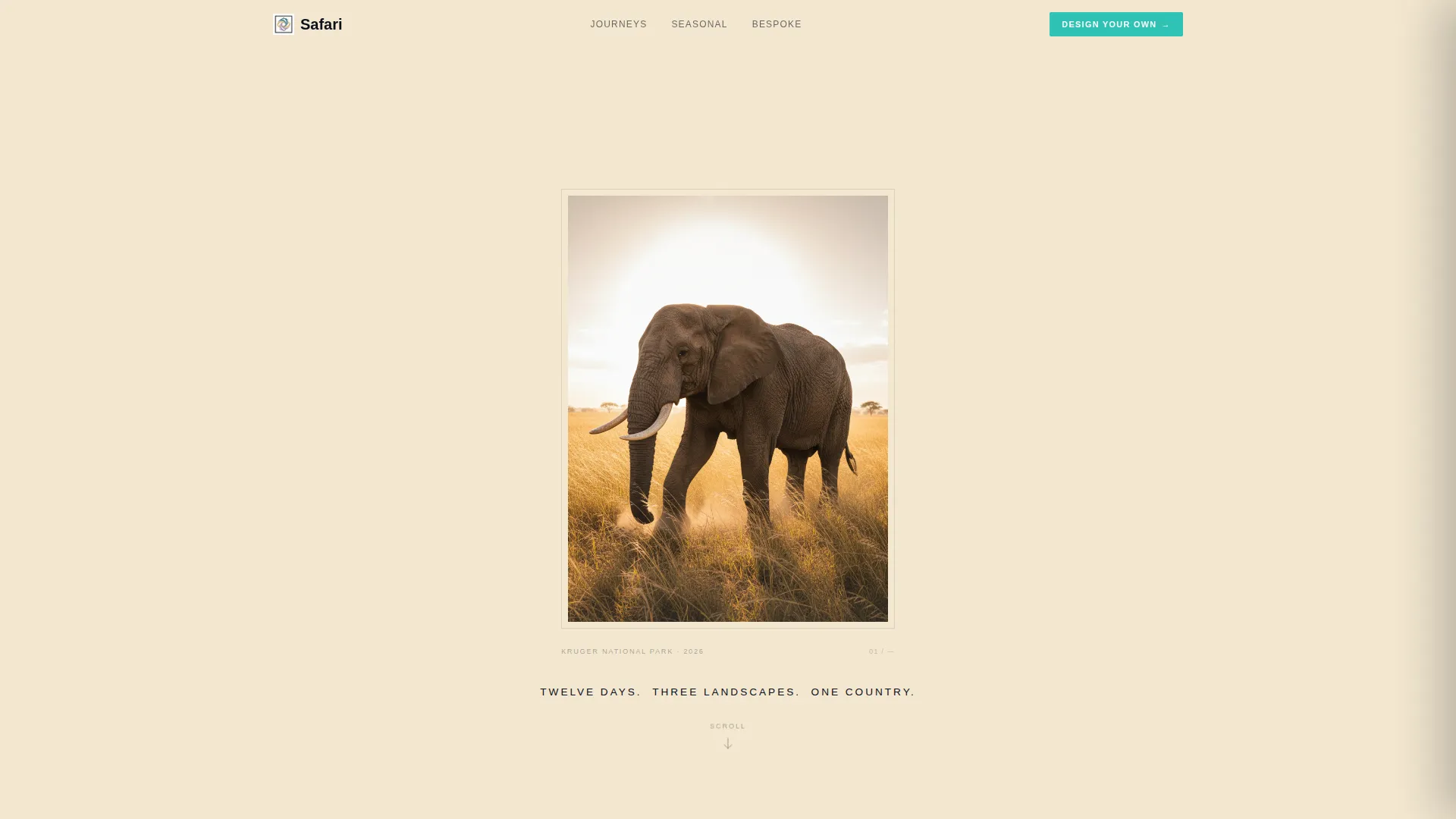 South Africa Travel Specialist Booking Website Template