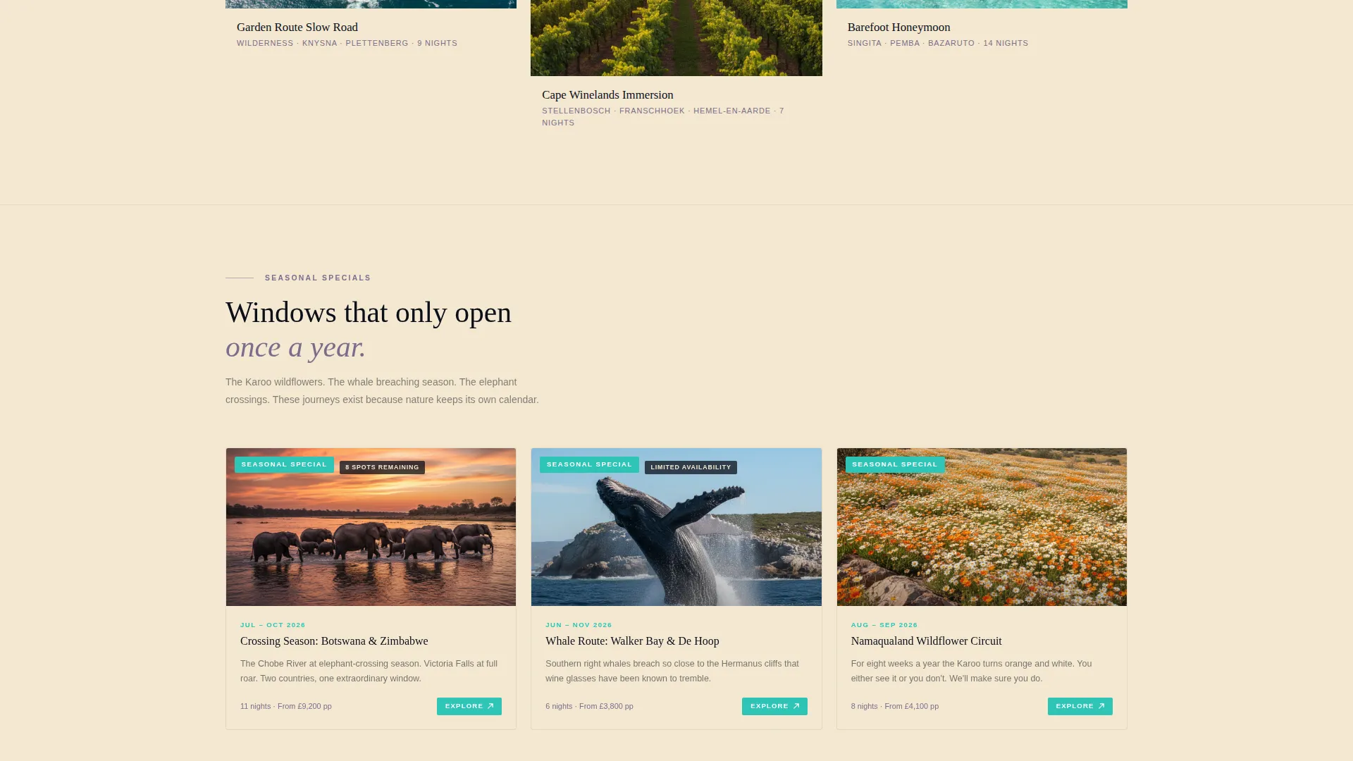 South Africa Travel Specialist Booking Website Template