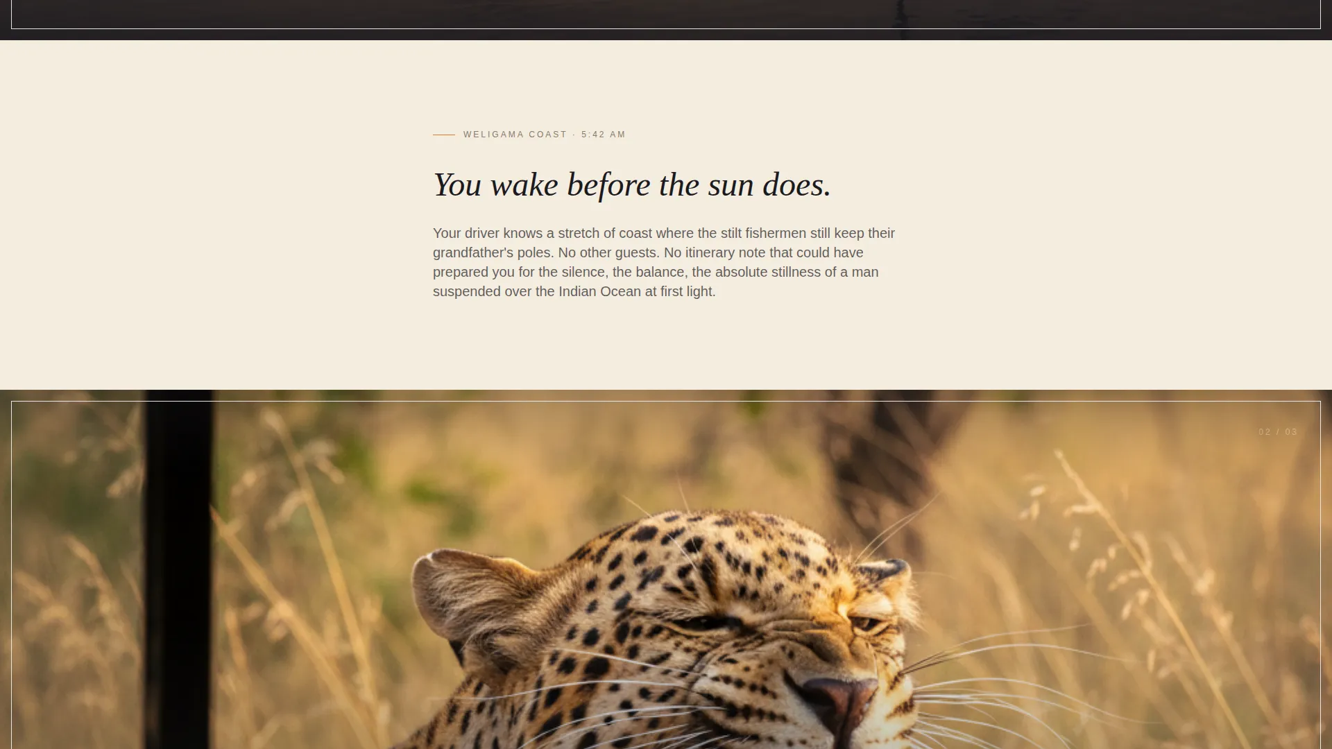 Sri Lanka Travel Booking Website Template