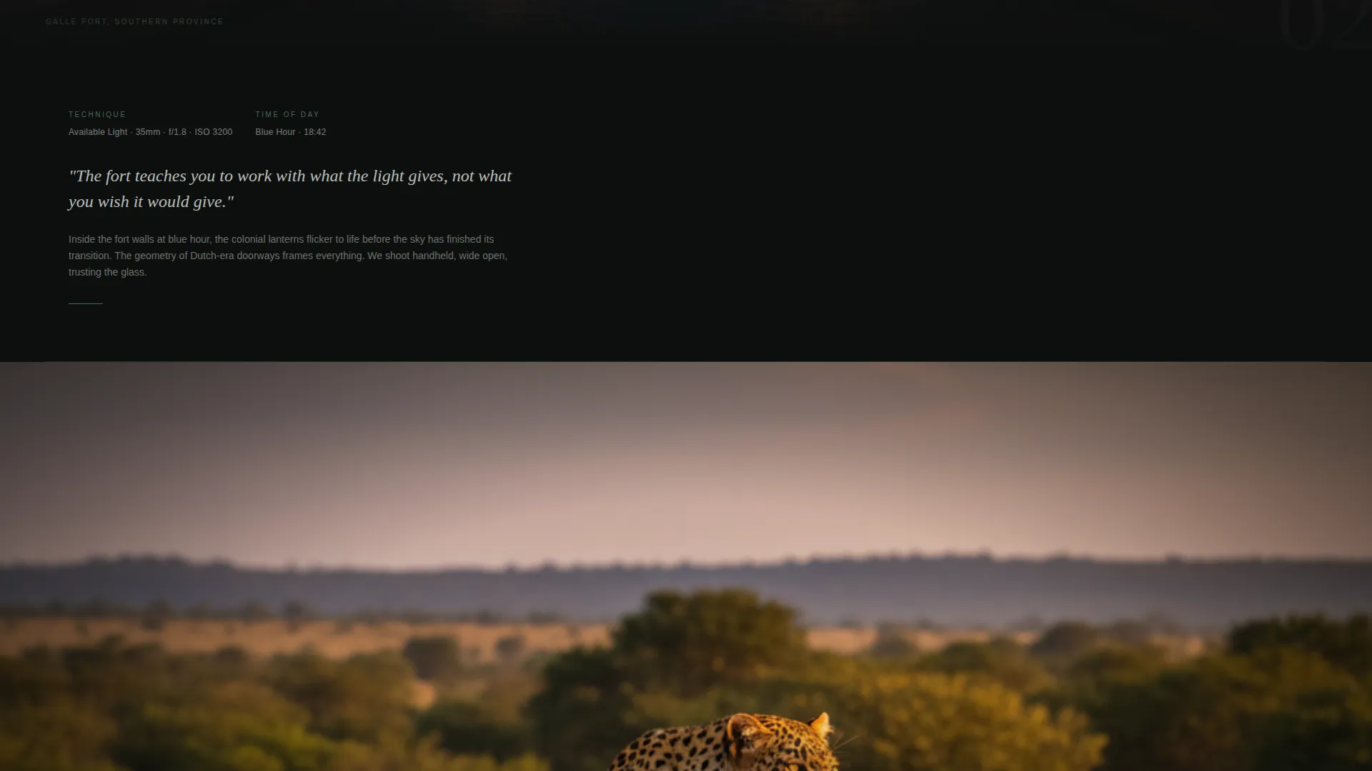 Sri Lanka Travel Specialist Professional Website Template