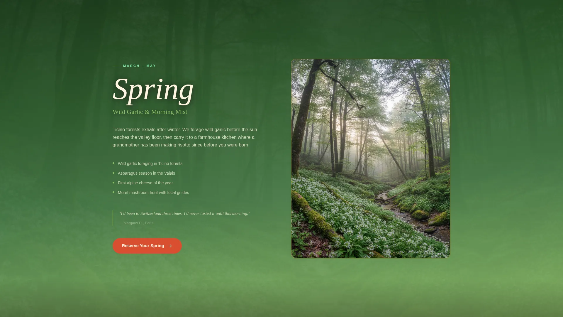 Switzerland Travel Advanced Booking Website Template