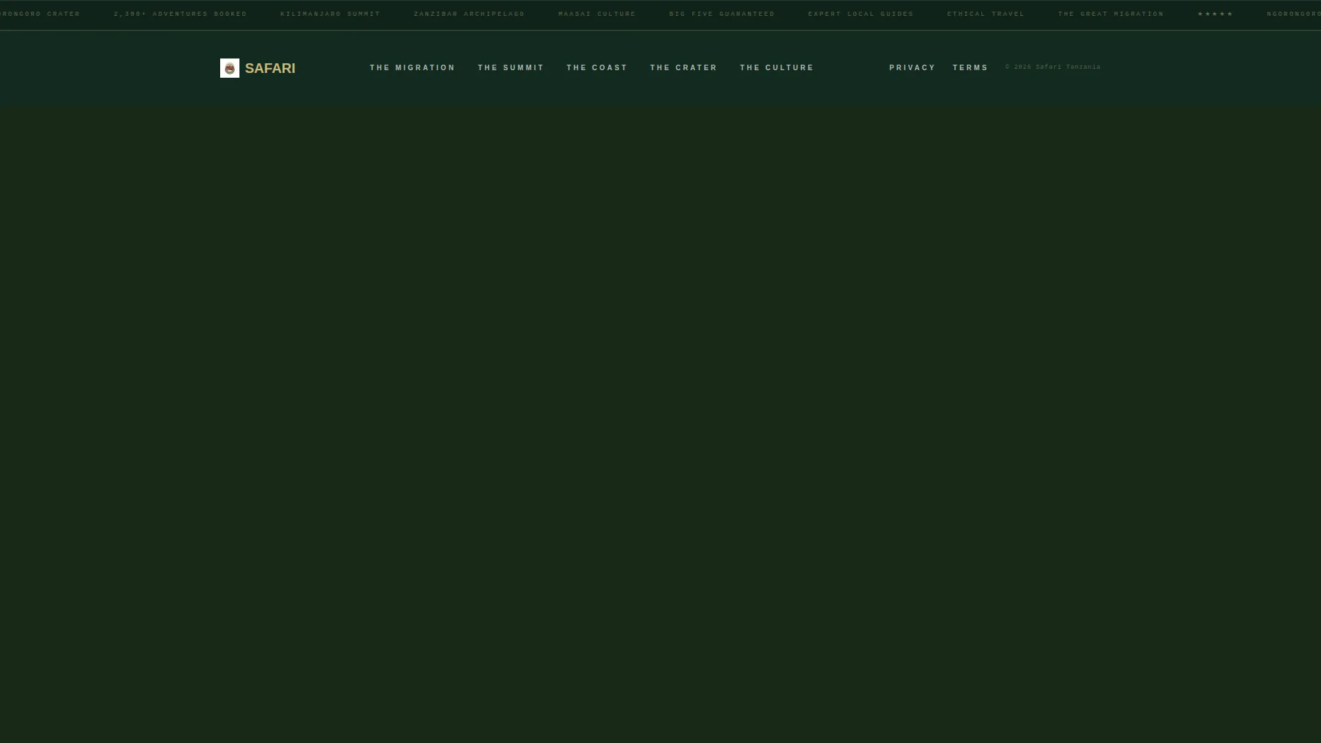 Tanzania Travel Booking Website Template