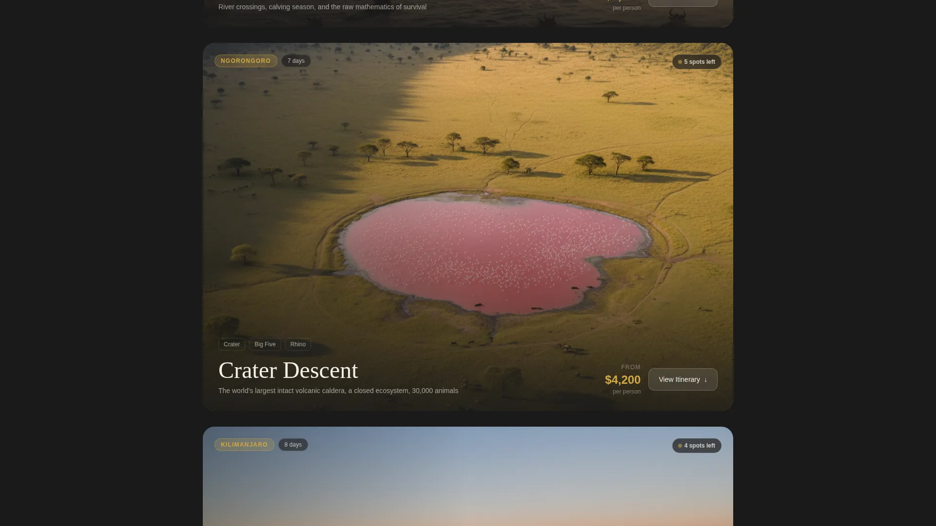Tanzania Travel Specialist Booking Website Template