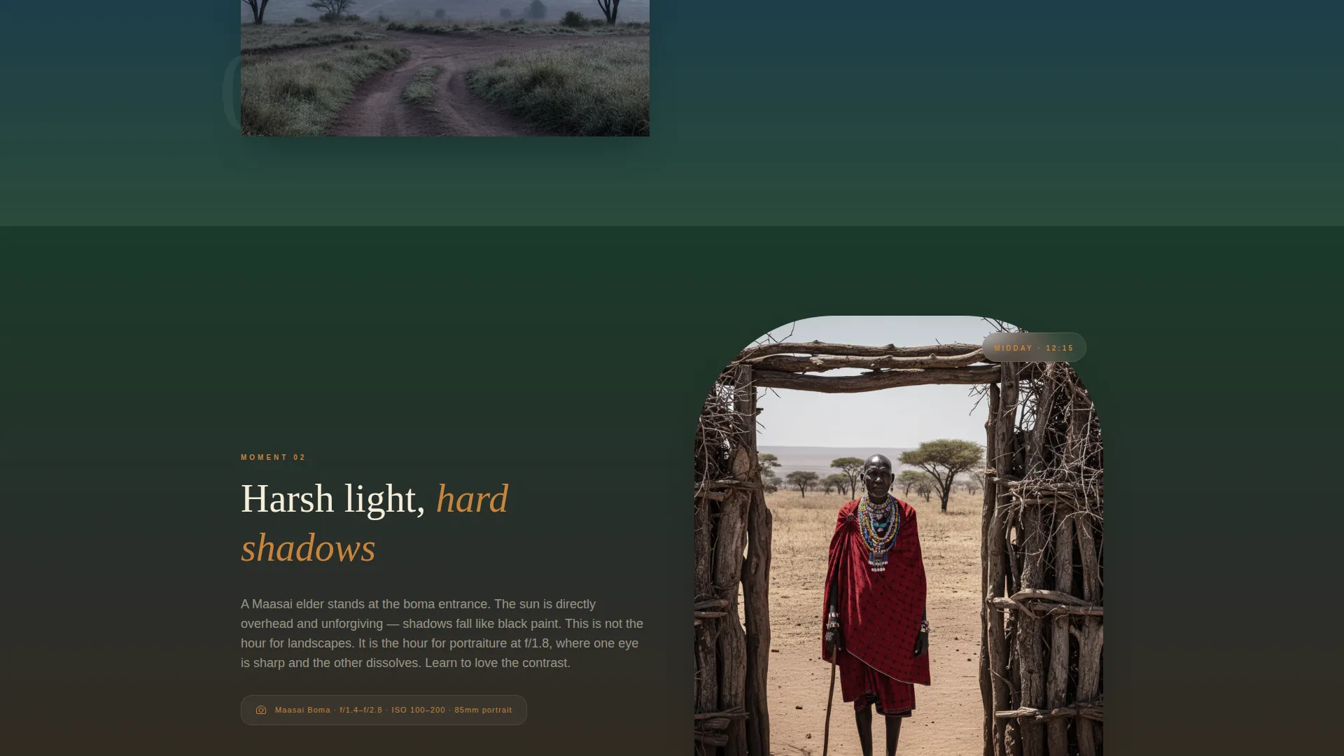 Tanzania Travel Professional Website Template