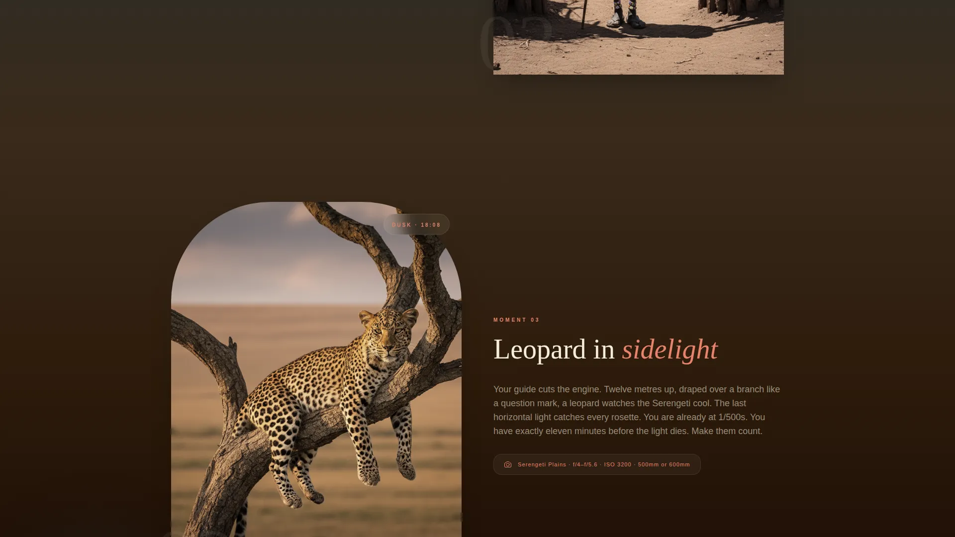 Tanzania Travel Professional Website Template