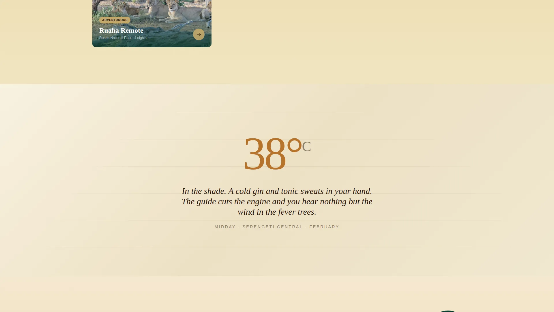 Tanzania Travel Pricing Website Template