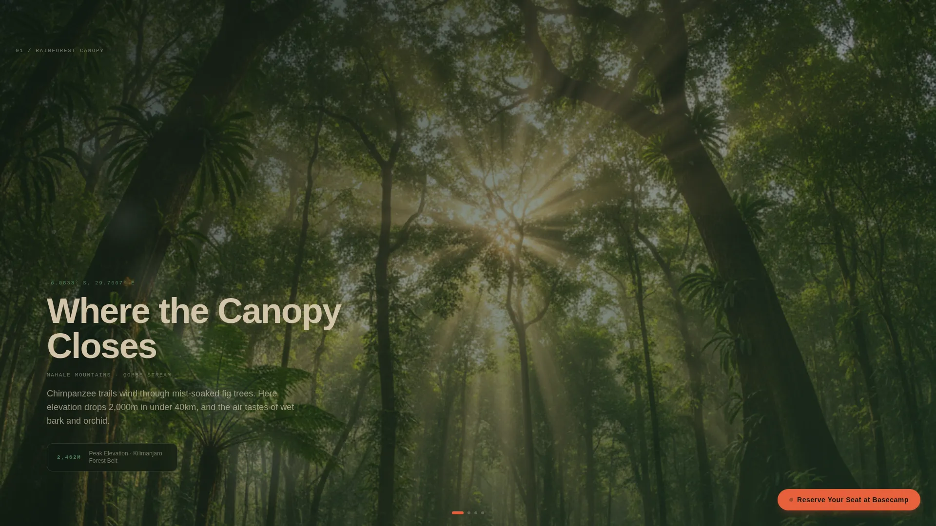 Tanzania Travel Blog Website Template