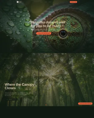 Tanzania Travel Blog Website Template
