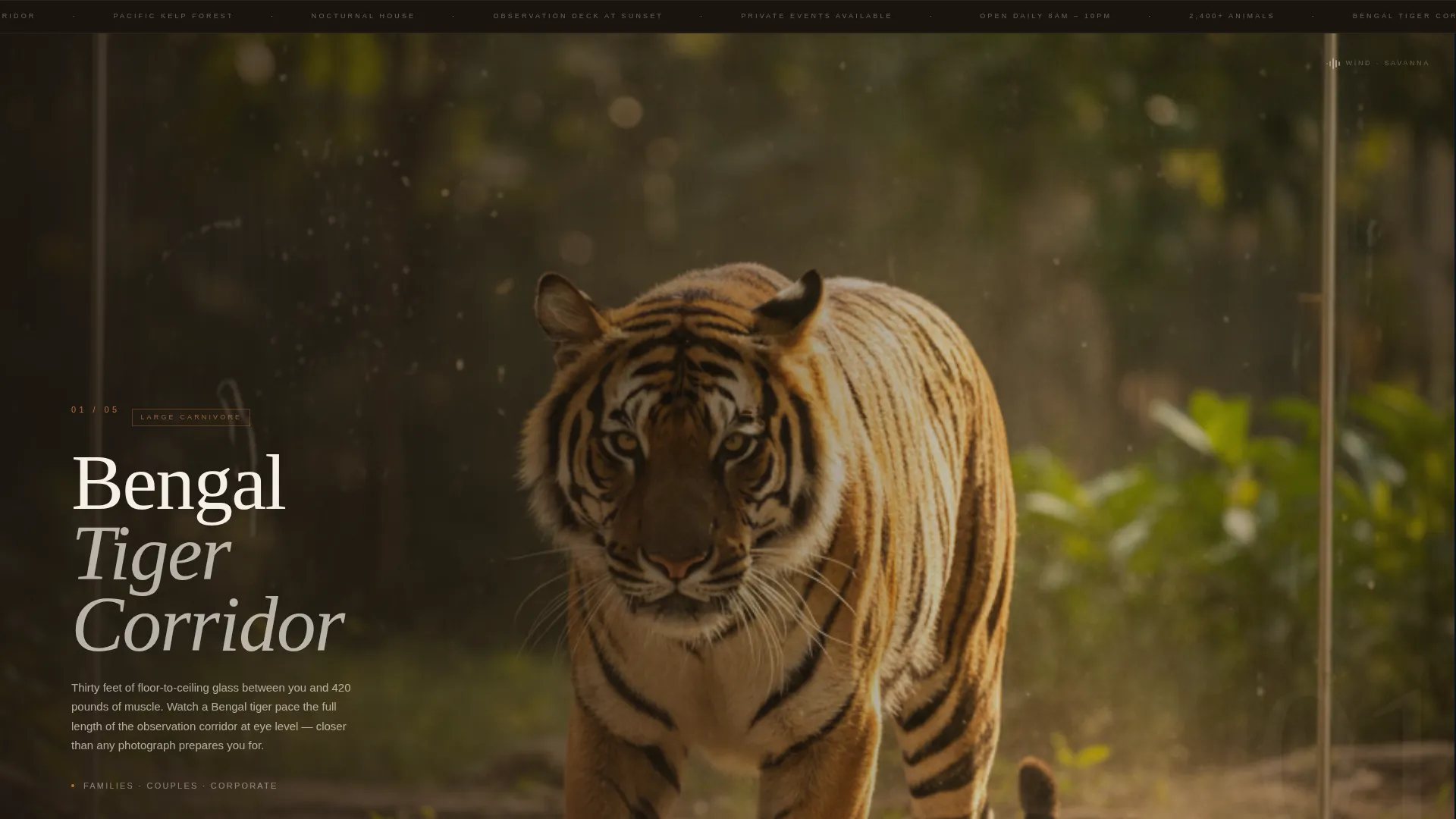 Tourist Attraction & Destination Specialist Booking Website Template