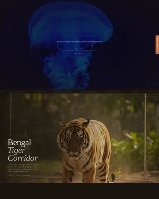 Tourist Attraction & Destination Specialist Booking Website Template