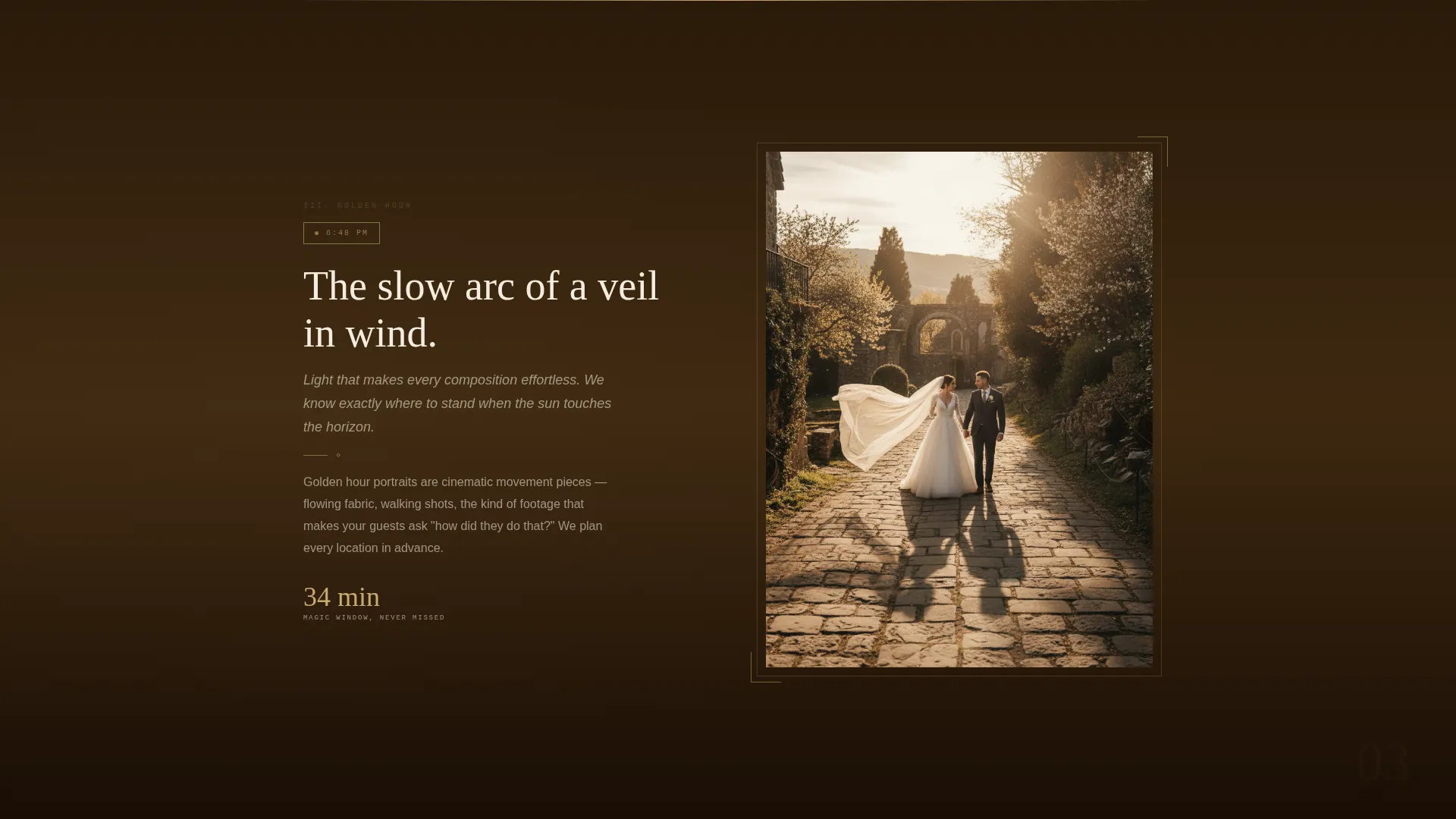 Art Deco Wedding Advanced Booking Website Template