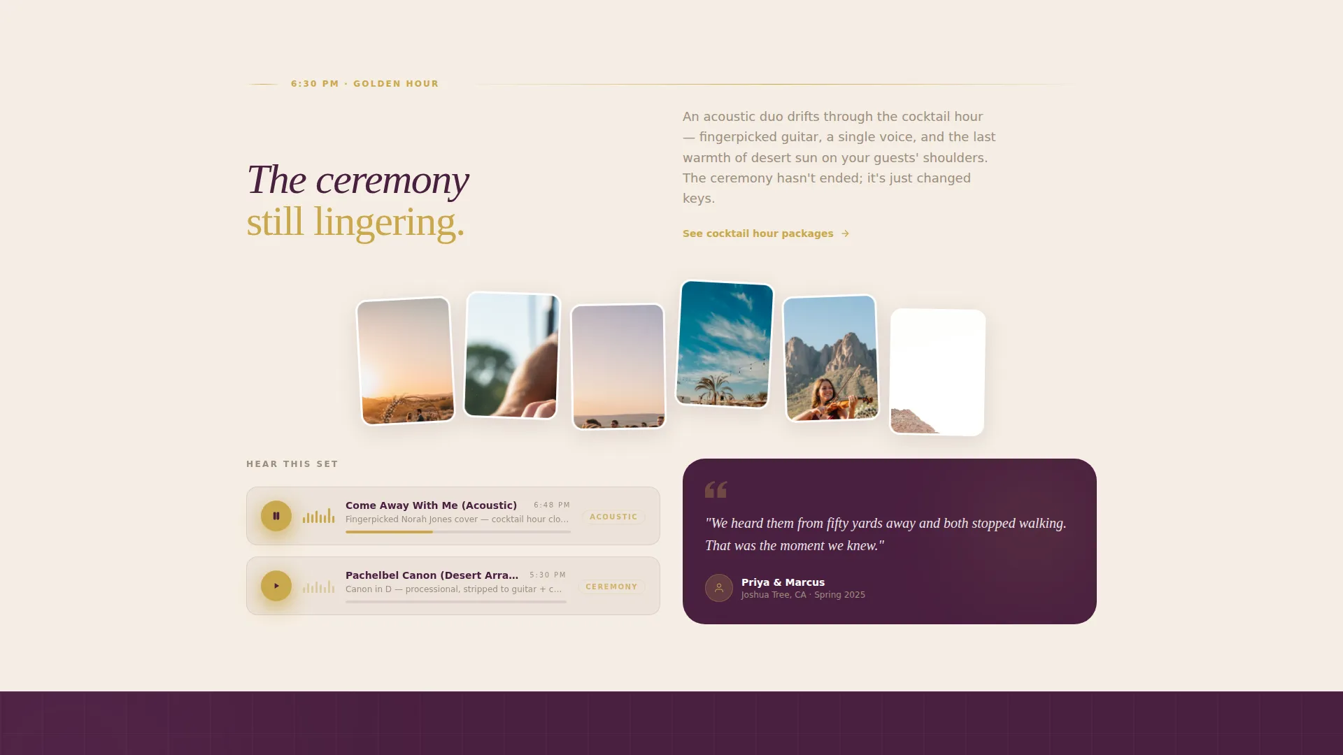 Desert Wedding DJ & Band Landing Page Template