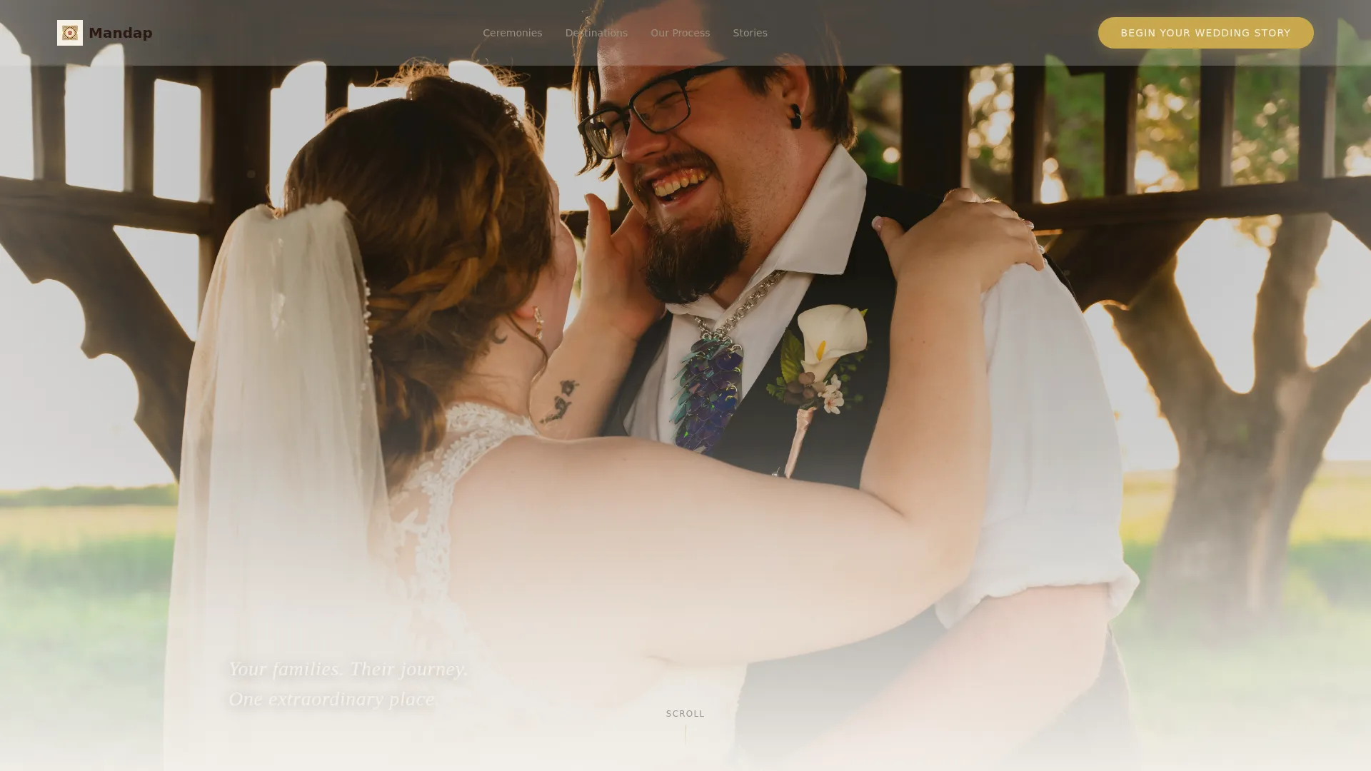 Indian Wedding Professional Website Template